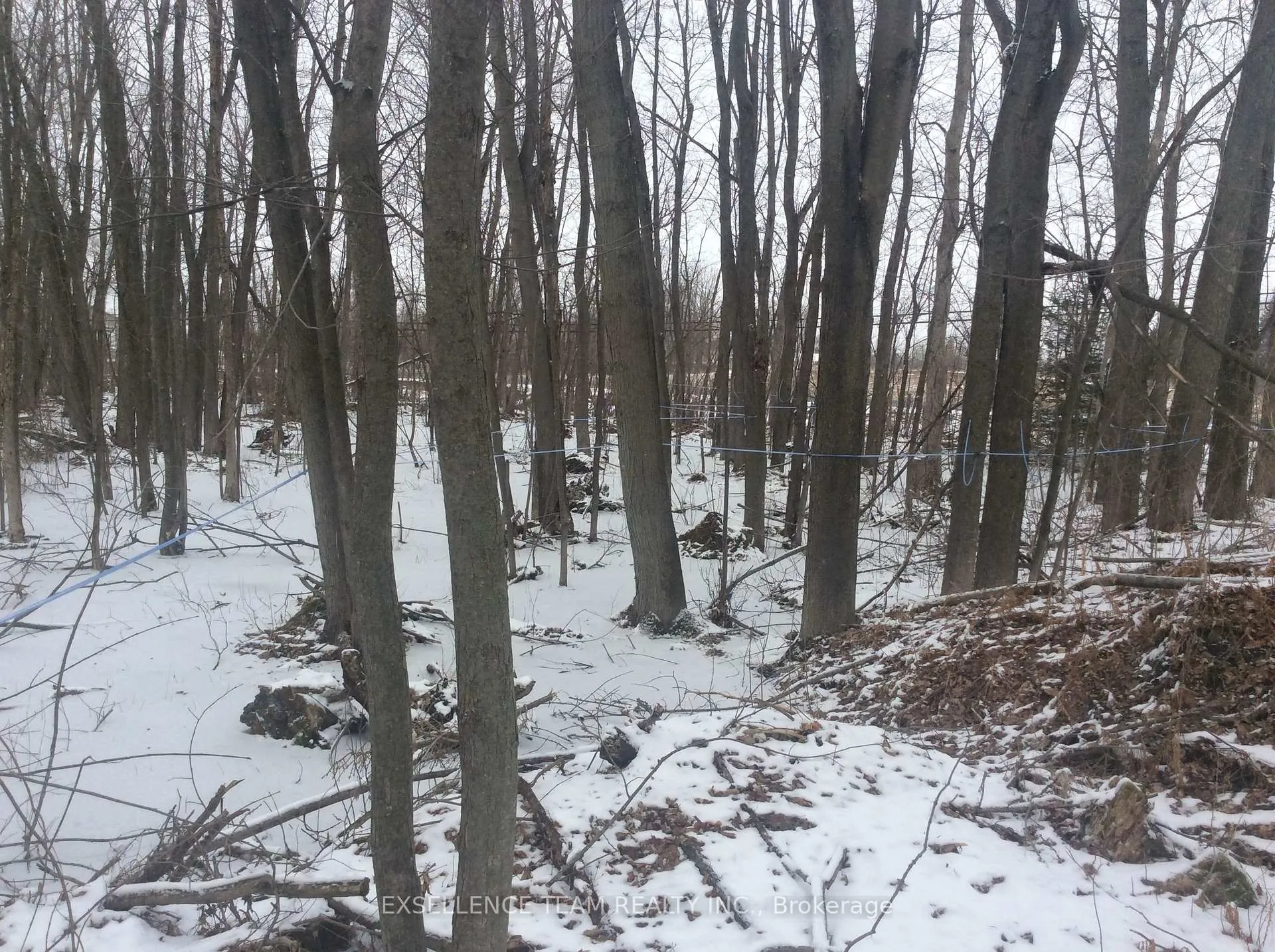 Photo 8 of 0000 County Rd 43 Highway, North Stormont, North Stormont (Roxborough) Twp — HOMEH