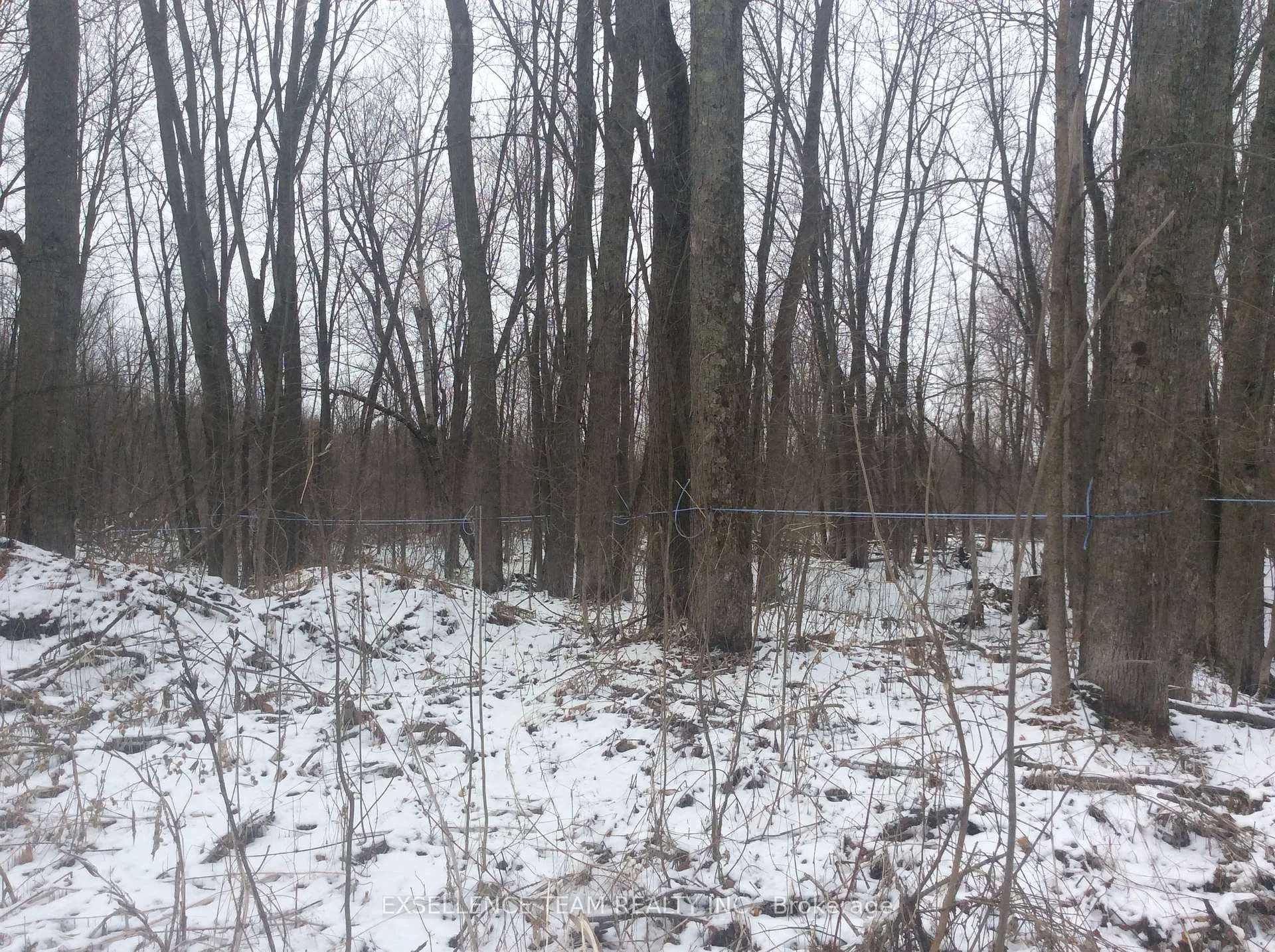Photo 9 of 0000 County Rd 43 Highway, North Stormont, North Stormont (Roxborough) Twp — HOMEH
