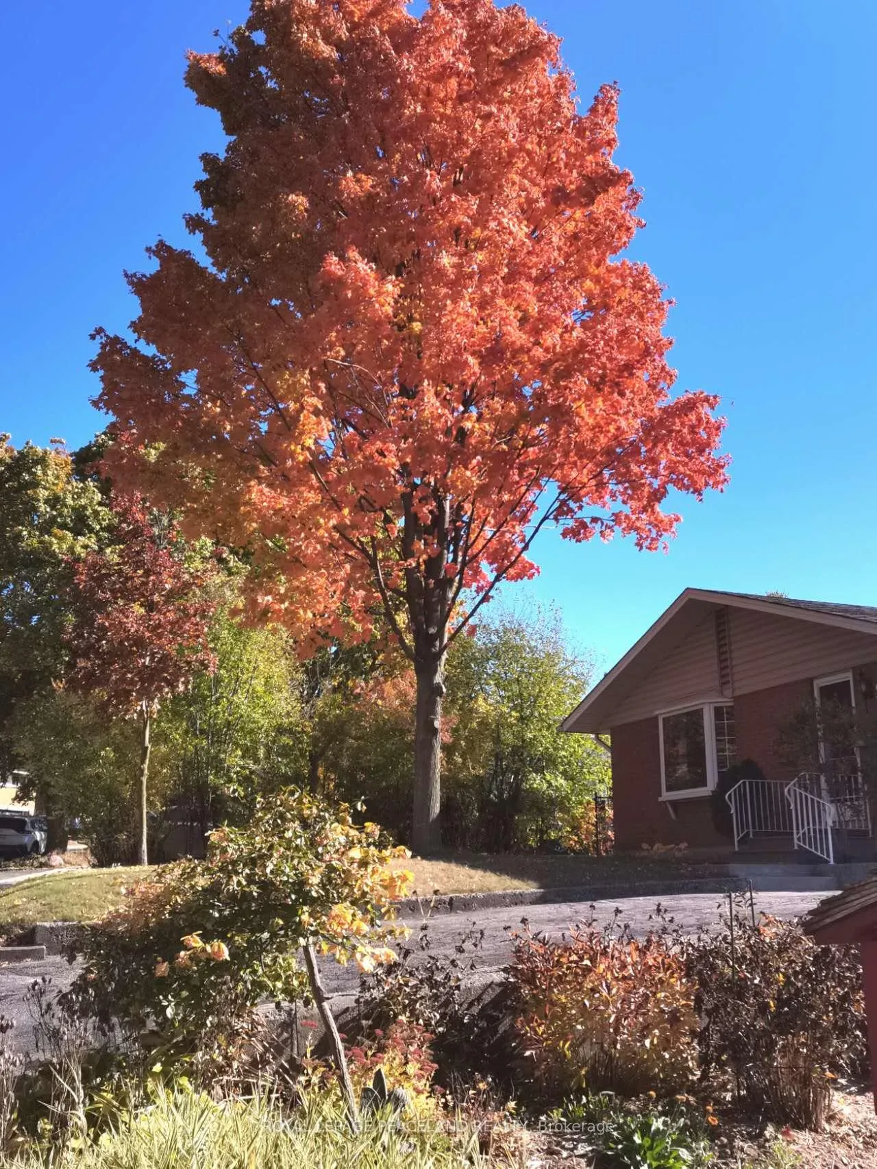 Photo 50 of 239 Winfield Avenue, Waterloo, Lincoln Heights — HOMEH