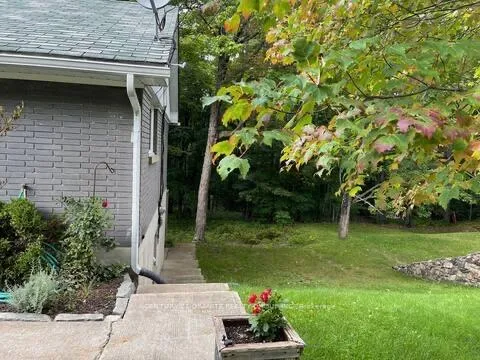 Photo 4 of 12 Forest Hill Road, Bancroft, Bancroft Ward — HOMEH