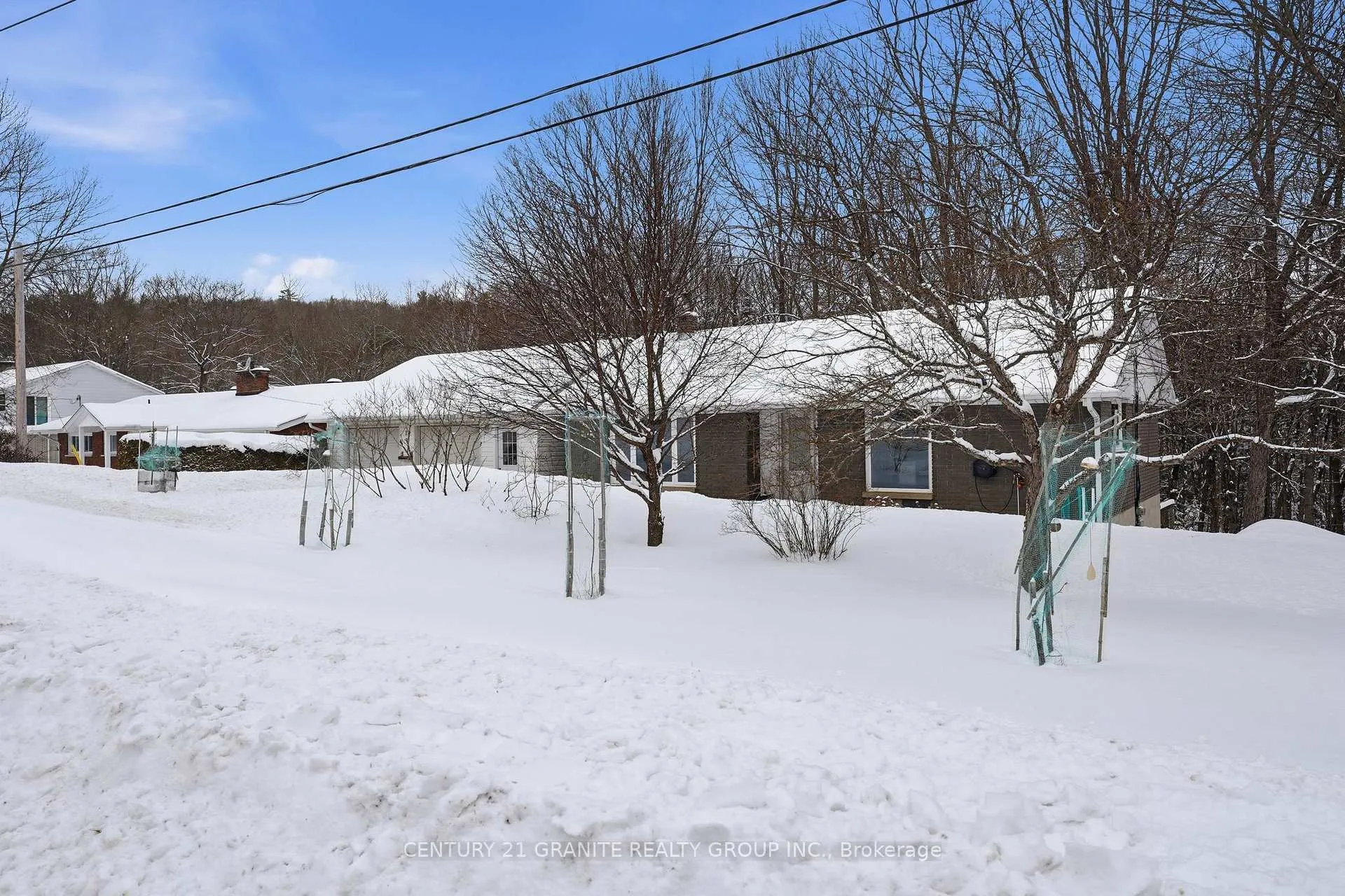 Photo 41 of 12 Forest Hill Road, Bancroft, Bancroft Ward — HOMEH