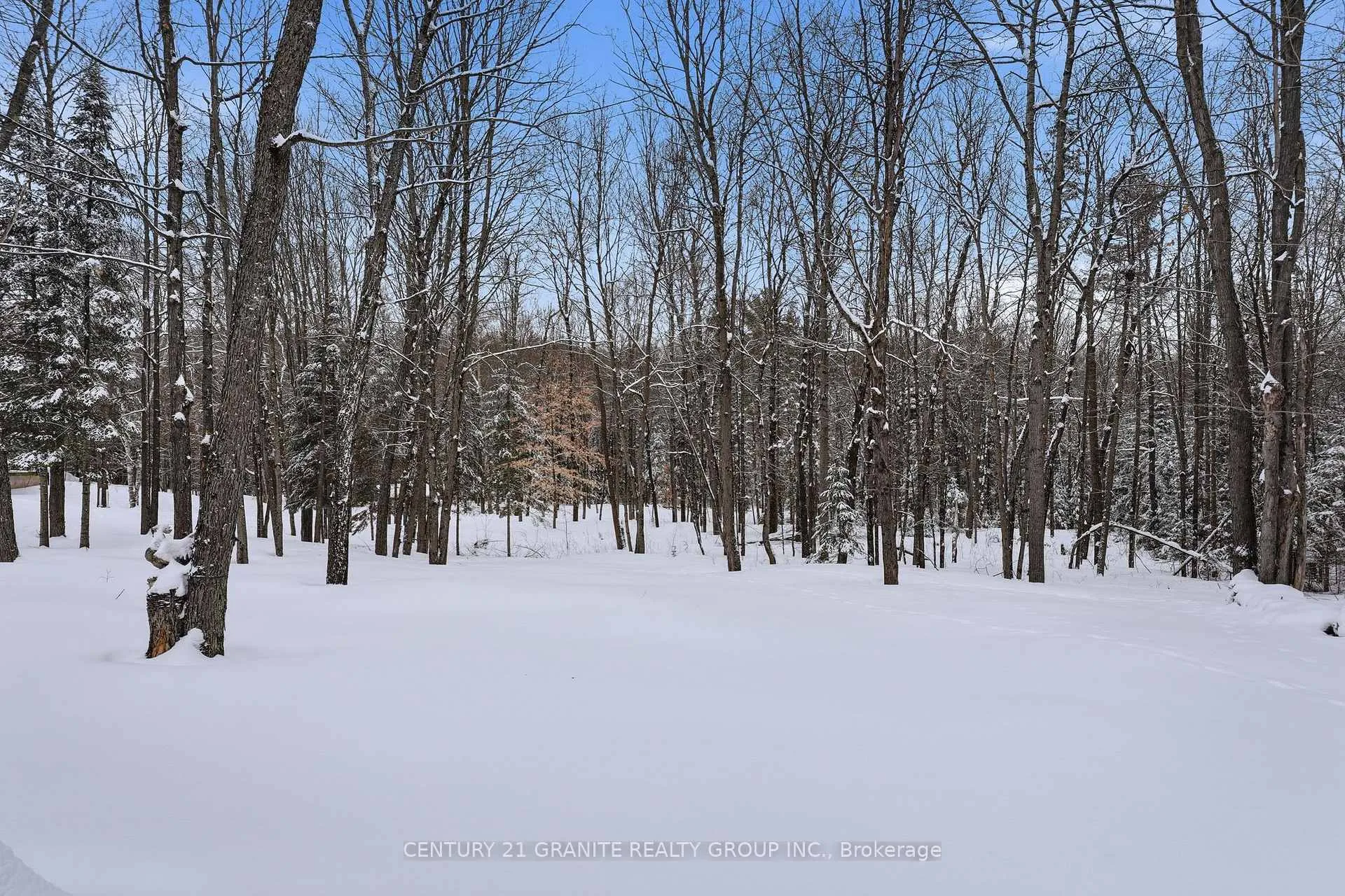 Photo 46 of 12 Forest Hill Road, Bancroft, Bancroft Ward — HOMEH