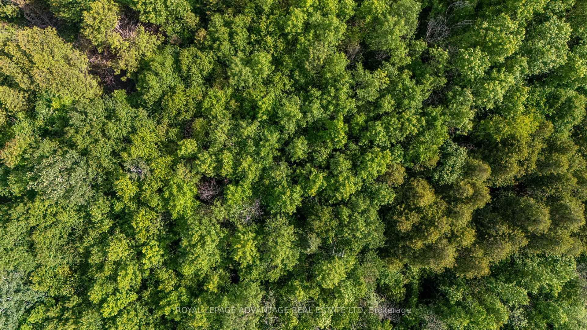 Photo 7 of 252 Upper Perth Rd, Lanark Highlands, Lanark Highlands (Lanark) Twp — HOMEH