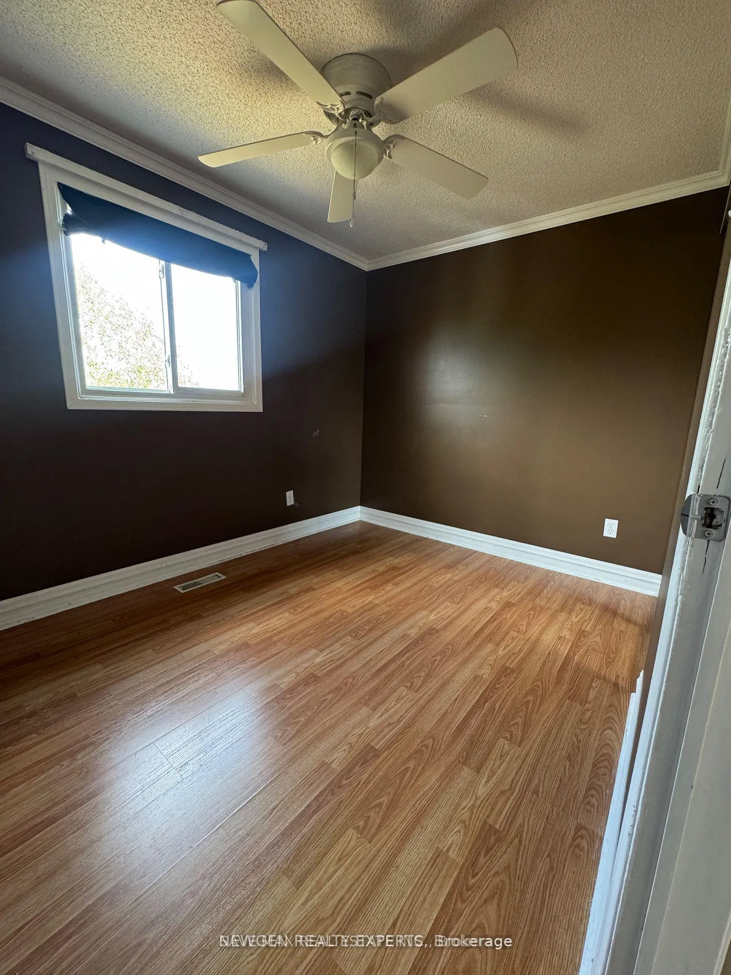 Photo 7 of 29 Fernbank Place, Whitby, Pringle Creek — HOMEH