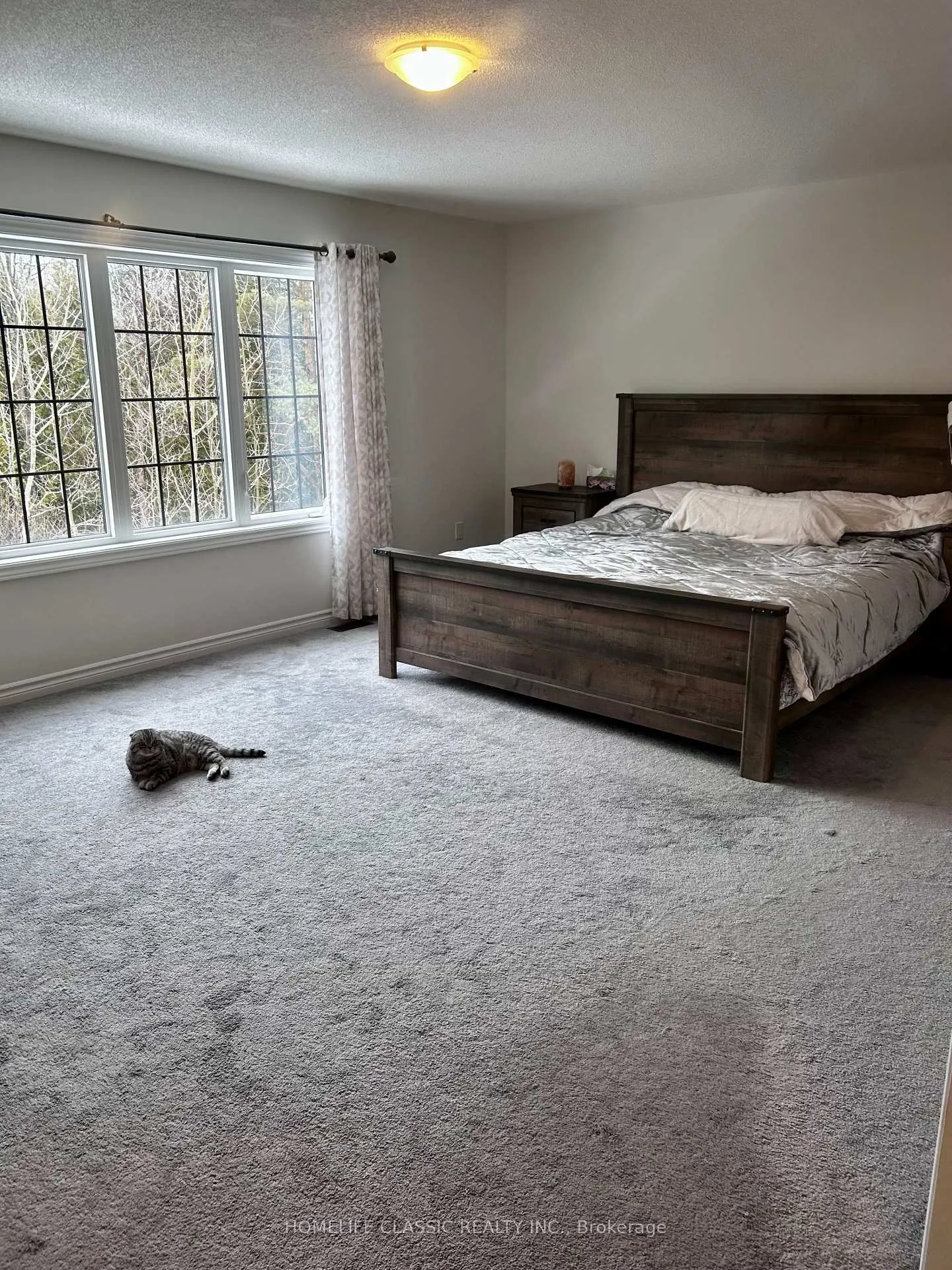 Photo 23 of 91 Crombie Street S, Clarington, Bowmanville — HOMEH