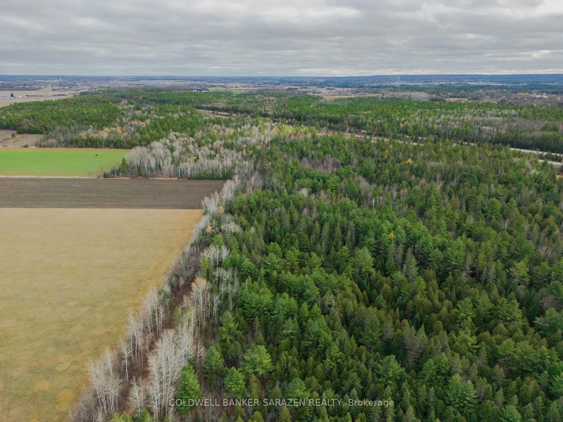 Photo of 00 Scheel Drive