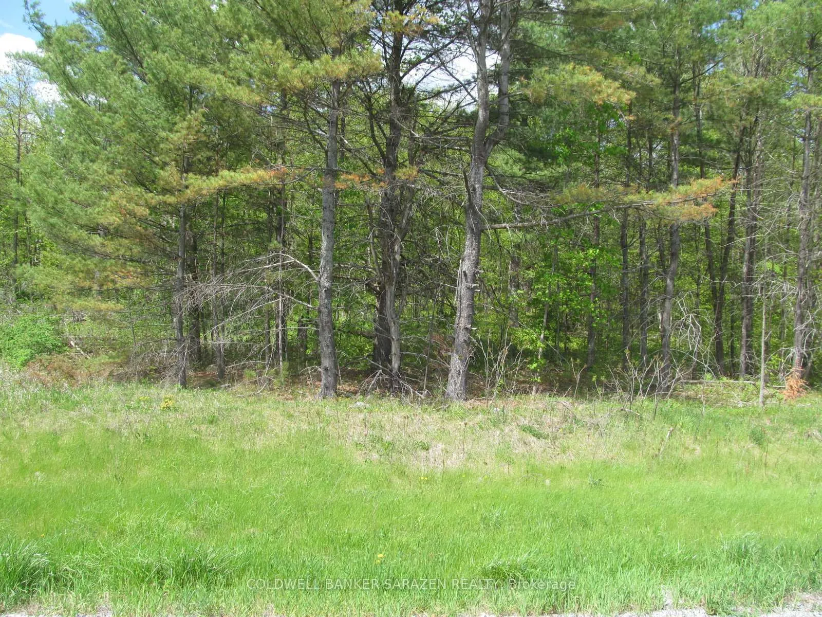 Photo 11 of 00 Scheel Drive, McNab/Braeside, Mcnab/Braeside Twps — HOMEH
