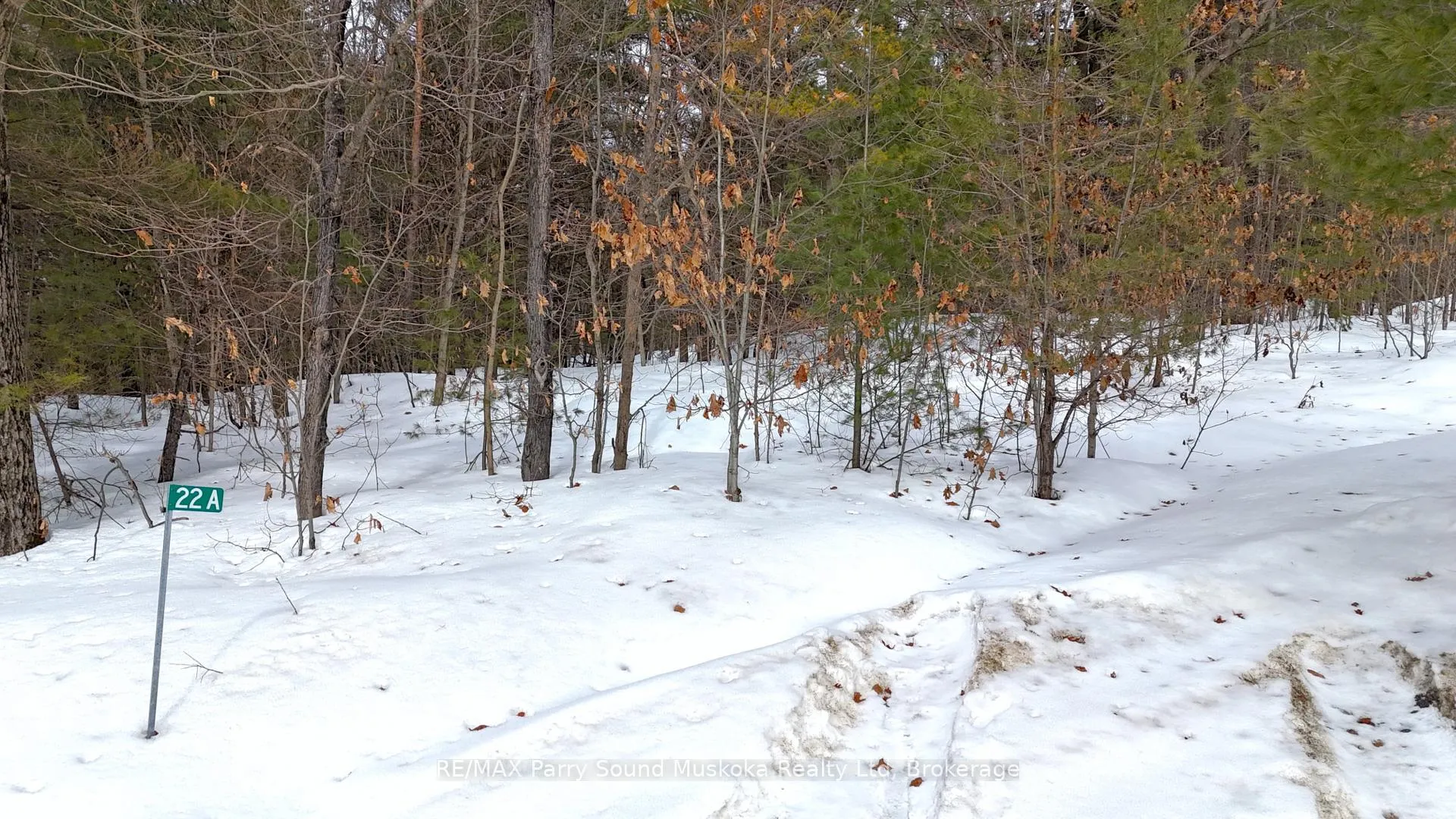 Photo 20 of 22A Lock Street, Seguin — HOMEH