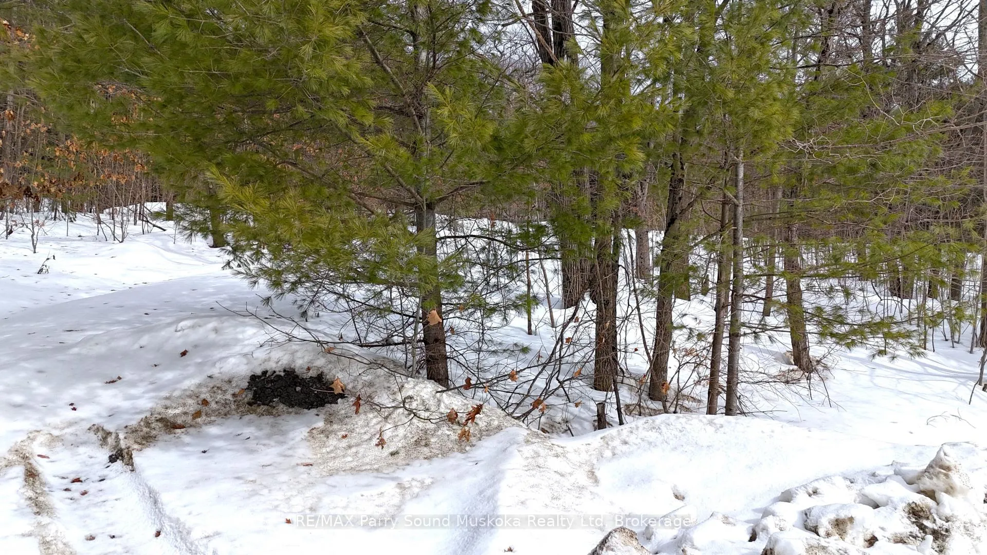 Photo 21 of 22A Lock Street, Seguin — HOMEH