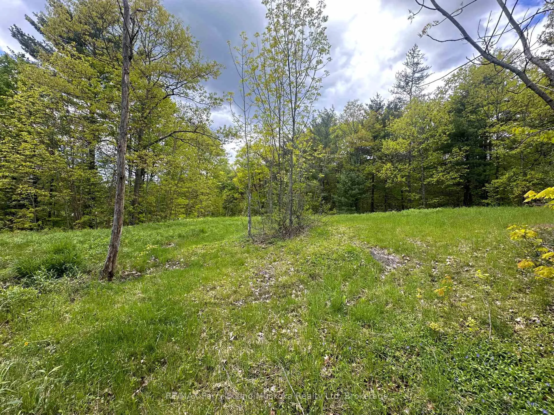 Photo 14 of 22A Lock Street, Seguin — HOMEH