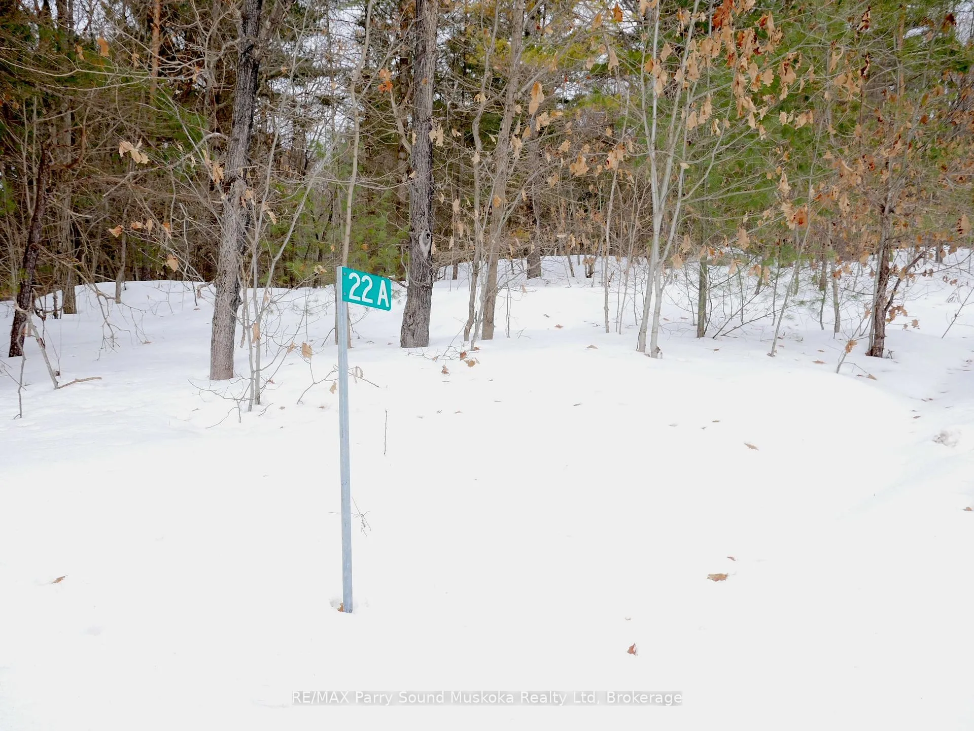 Photo 30 of 22A Lock Street, Seguin — HOMEH