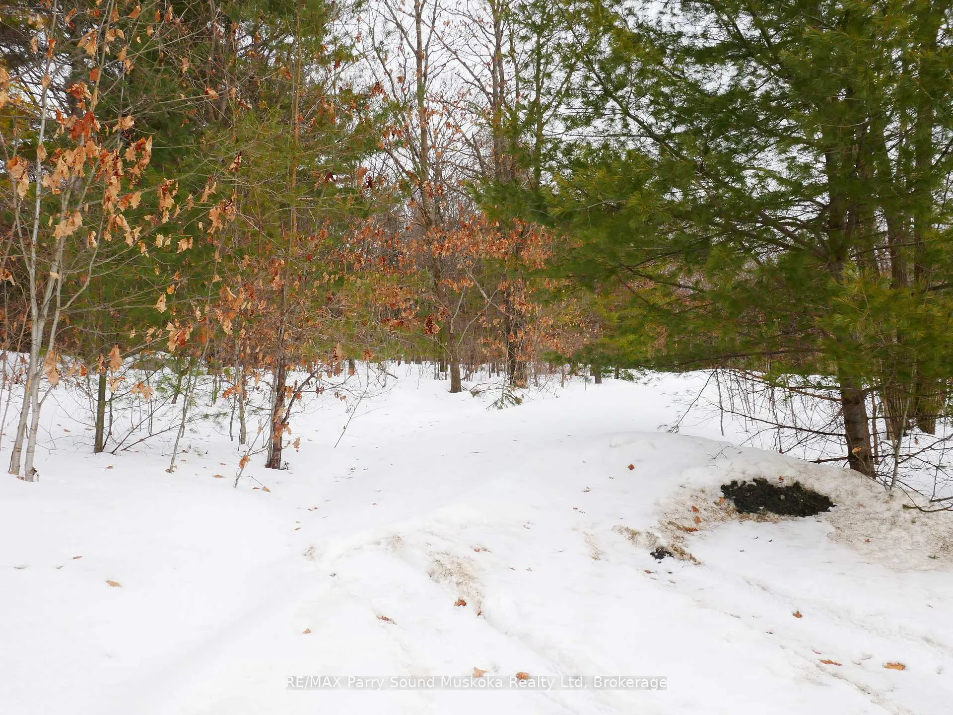 Photo 31 of 22A Lock Street, Seguin — HOMEH