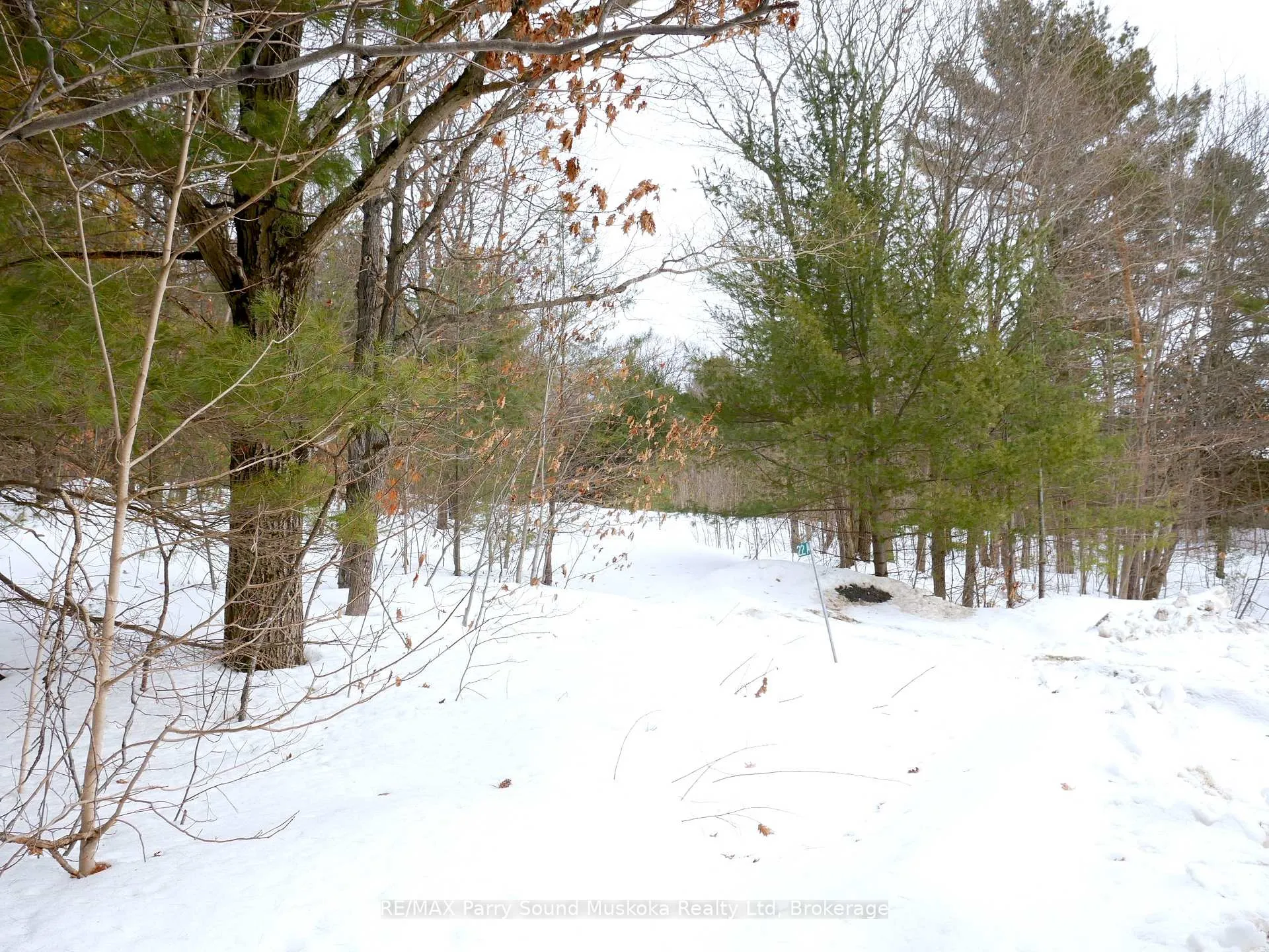 Photo 33 of 22A Lock Street, Seguin — HOMEH