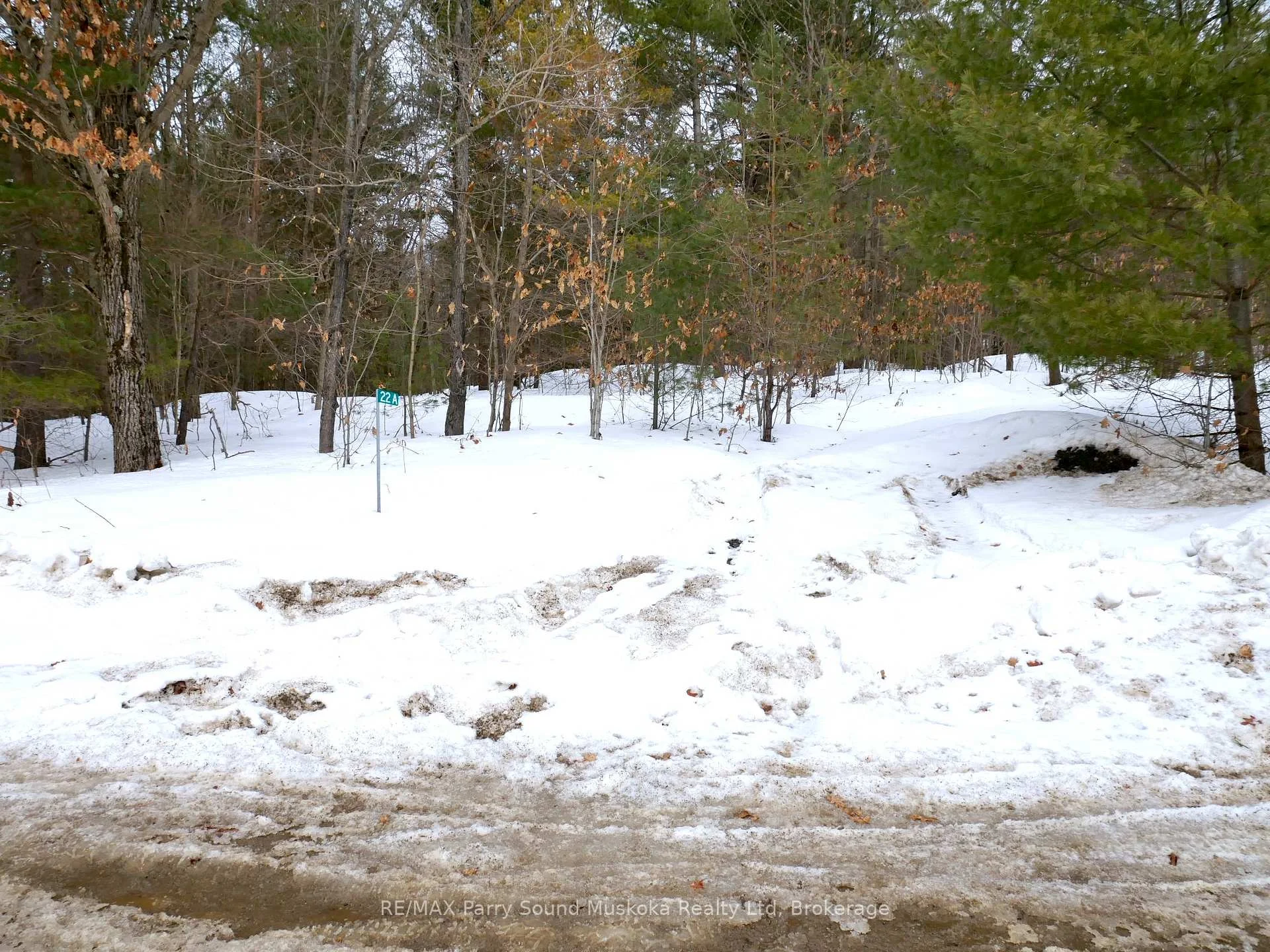 Photo 40 of 22A Lock Street, Seguin — HOMEH
