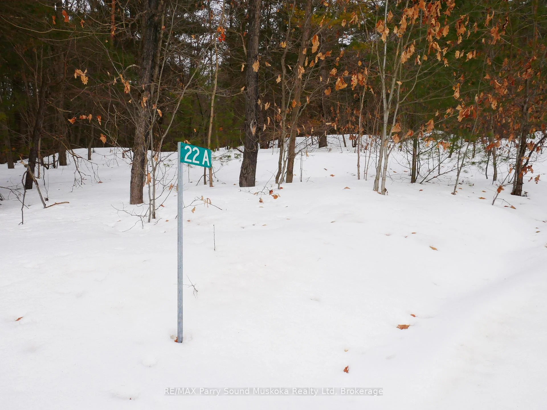 Photo 41 of 22A Lock Street, Seguin — HOMEH