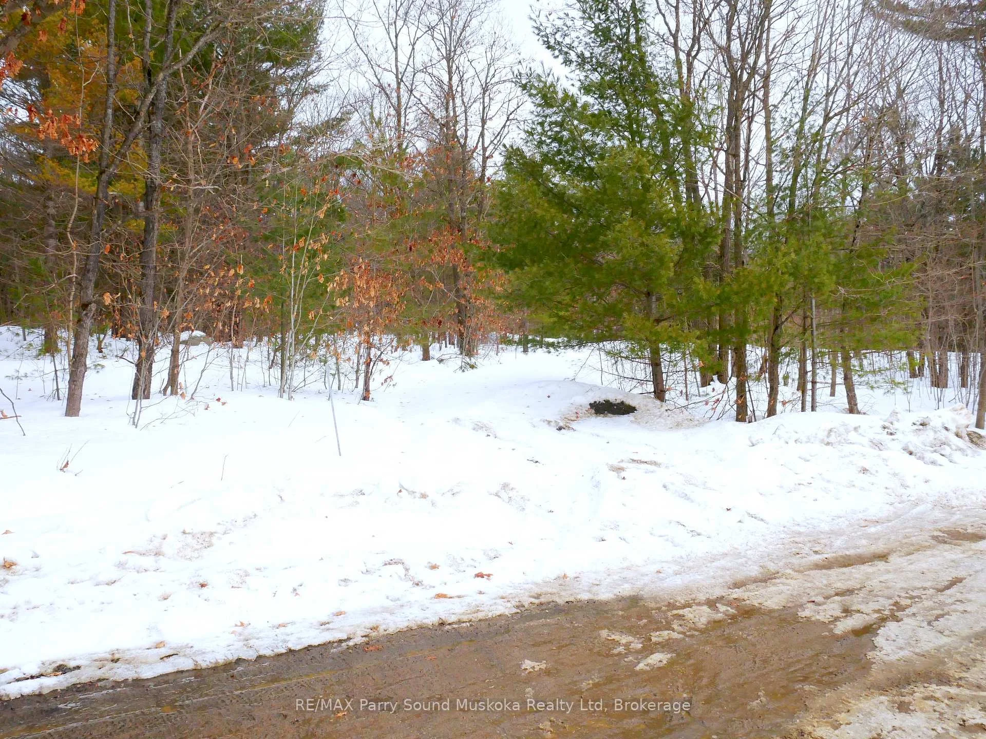 Photo 43 of 22A Lock Street, Seguin — HOMEH