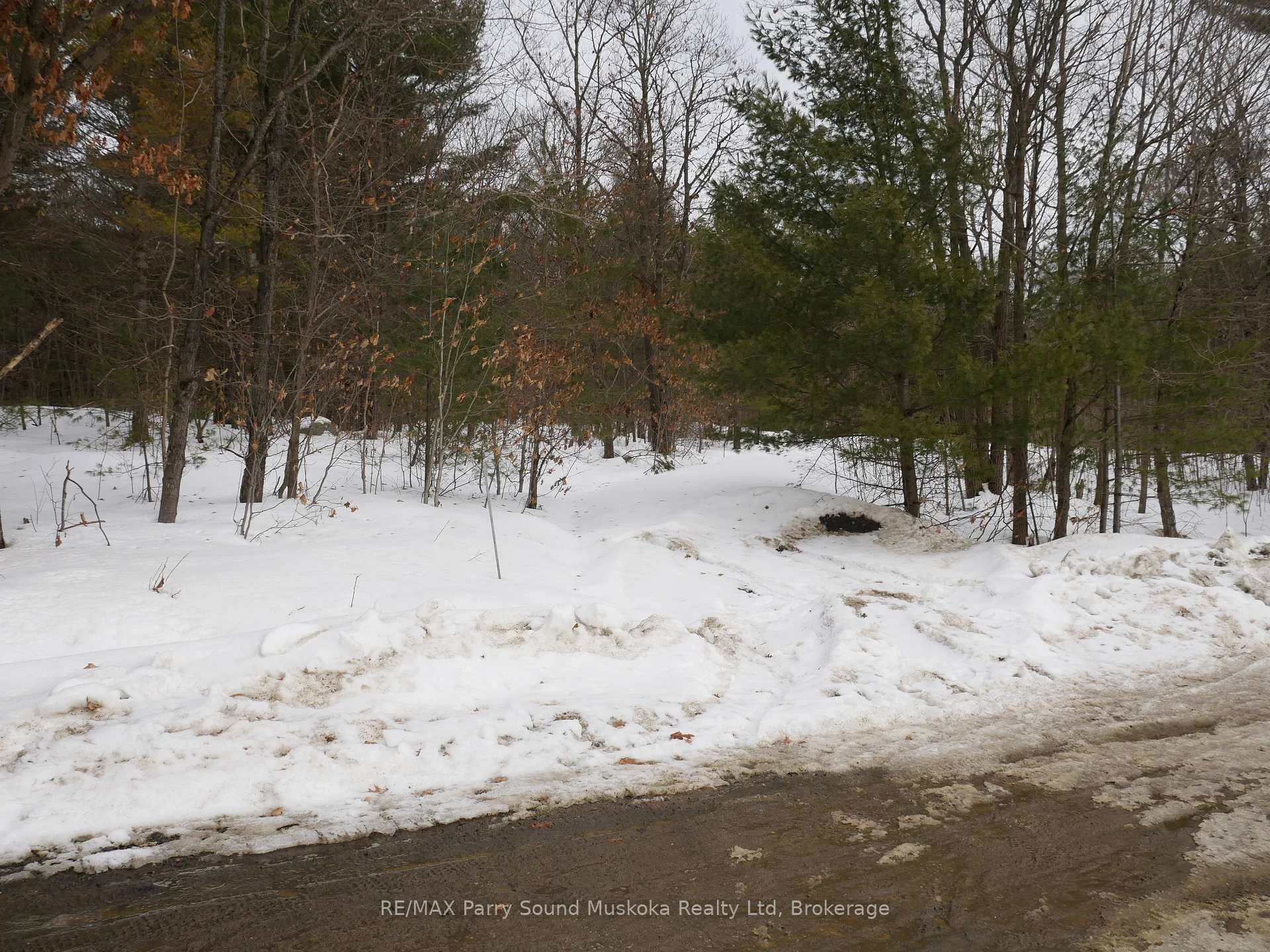 Photo 46 of 22A Lock Street, Seguin — HOMEH