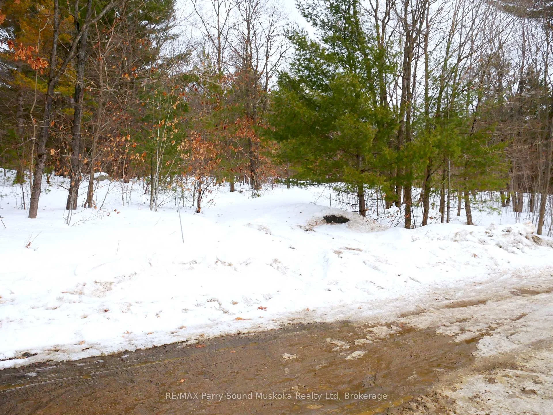 Photo 47 of 22A Lock Street, Seguin — HOMEH