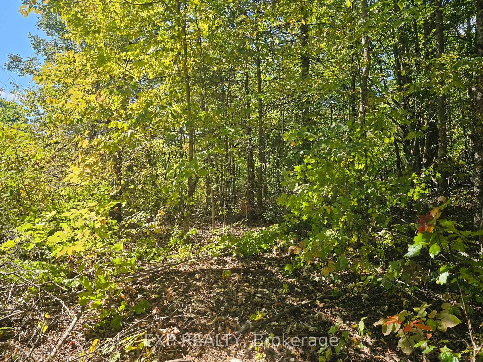 Photo of Part Lot 32 and 33 Part 2 Conc 1