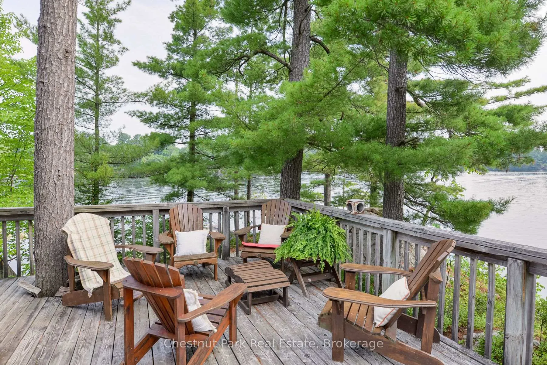 Photo 11 of 1 8KL Rose Island, Gravenhurst, Morrison — HOMEH