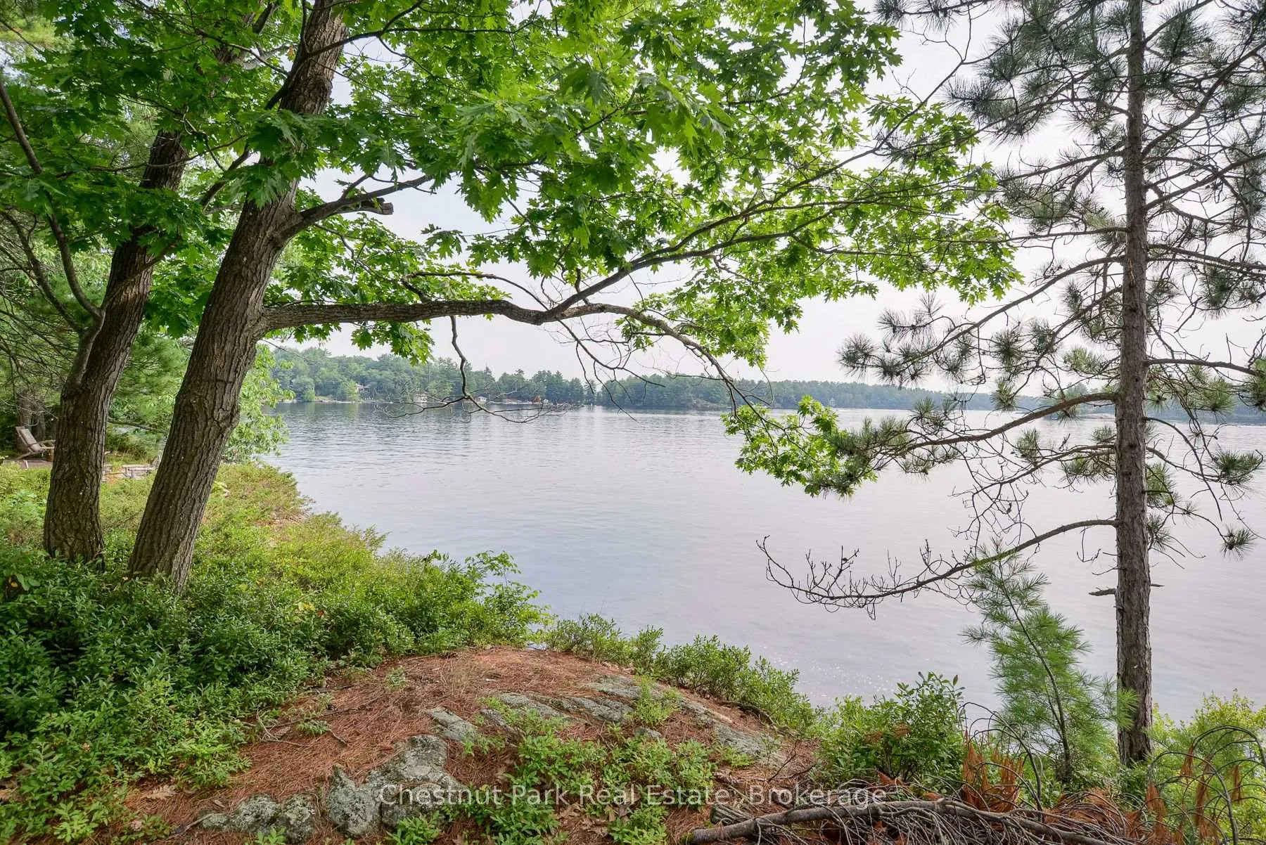 Photo 38 of 1 8KL Rose Island, Gravenhurst, Morrison — HOMEH