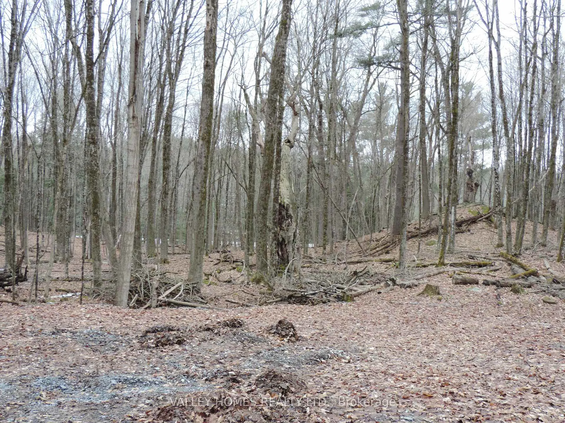 Photo 1 of L1 -297 Harding Road, Lanark Highlands, Lanark Highlands (Lanark) Twp — HOMEH