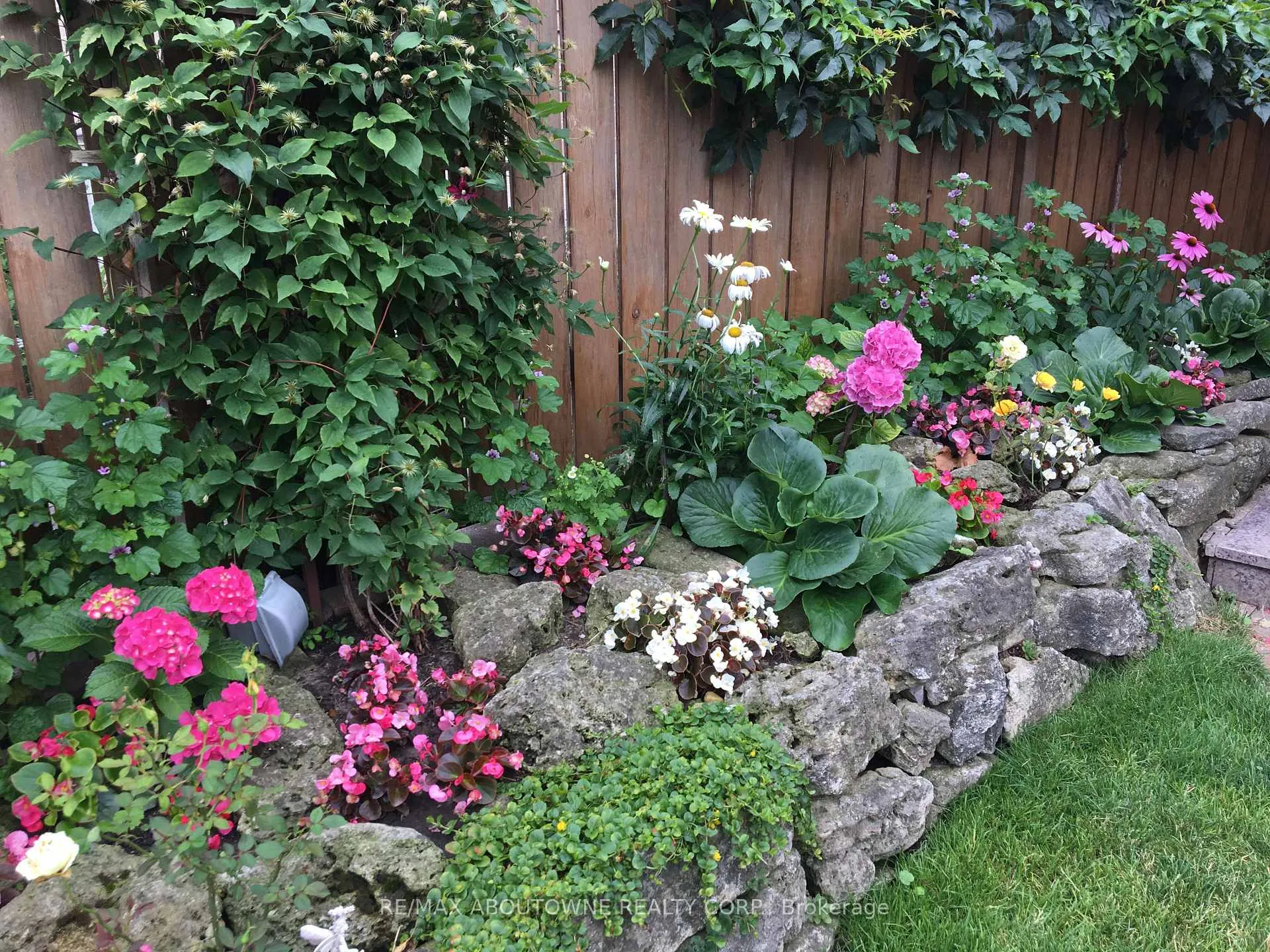 Photo 34 of 17 Duffield Road, Etobicoke, Willowridge-Martingrove-Richview — HOMEH