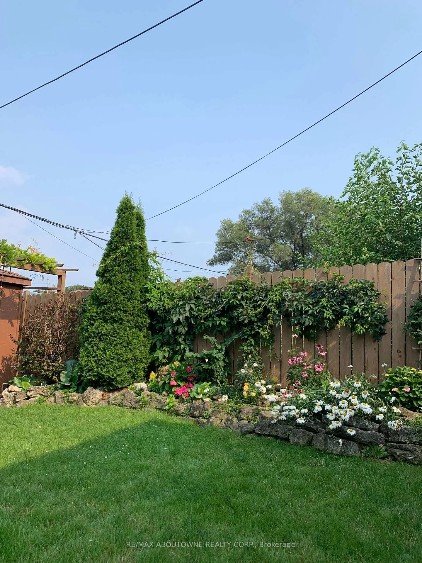 Photo 38 of 17 Duffield Road, Etobicoke, Willowridge-Martingrove-Richview — HOMEH