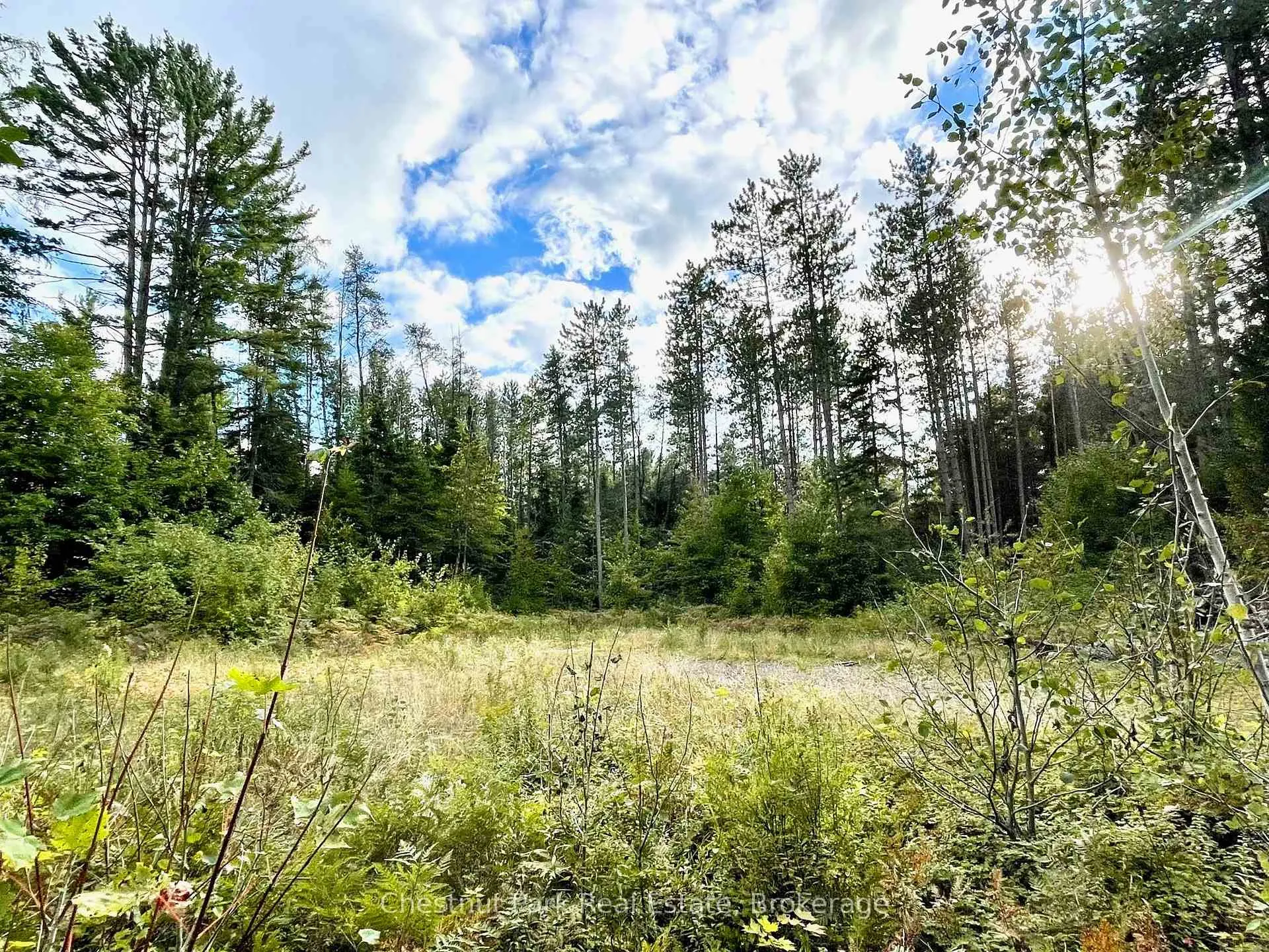 Photo of 0 Cardwell Lake Road