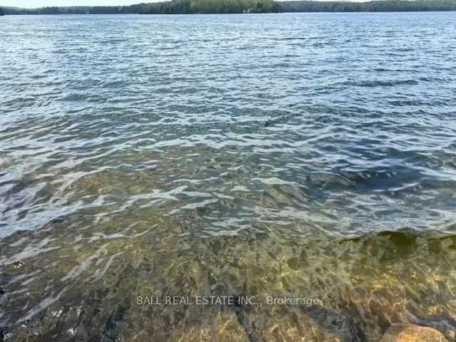 Photo 5 of 170 Couchs Road, North Kawartha — HOMEH