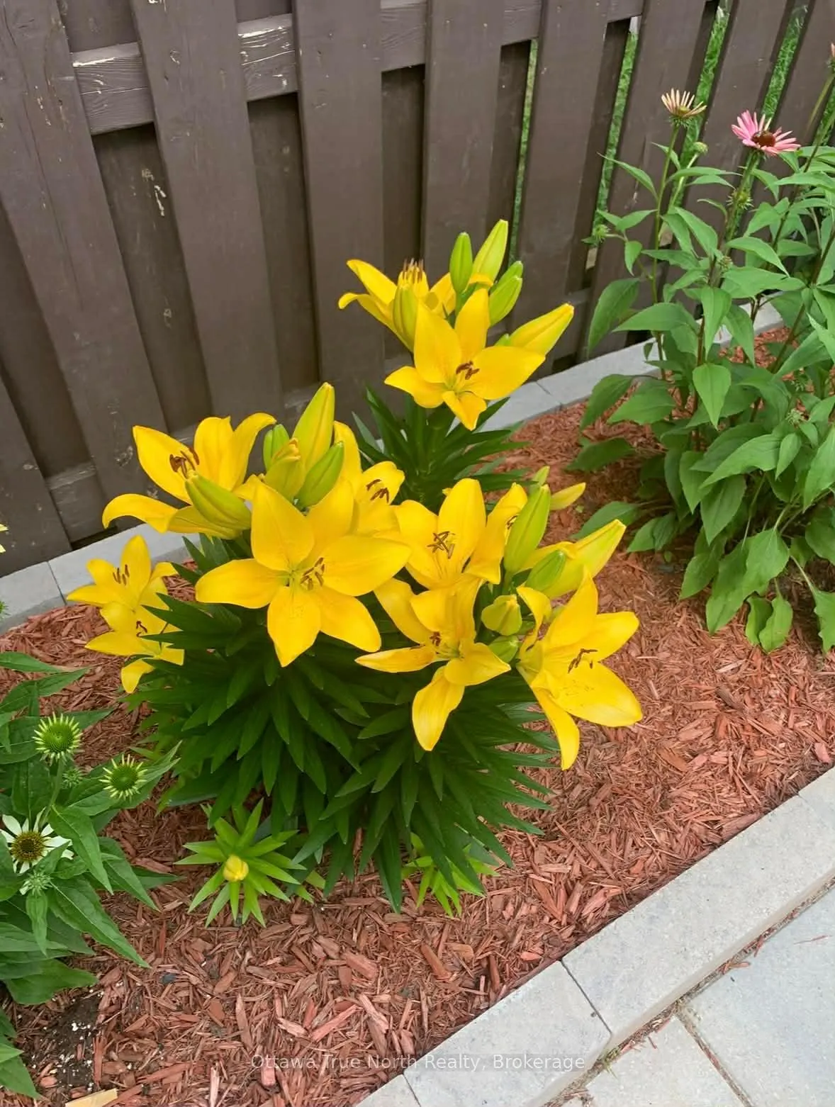 Photo 41 of Unit 73, 21 Midland Crescent, Ottawa, Arlington Woods — HOMEH