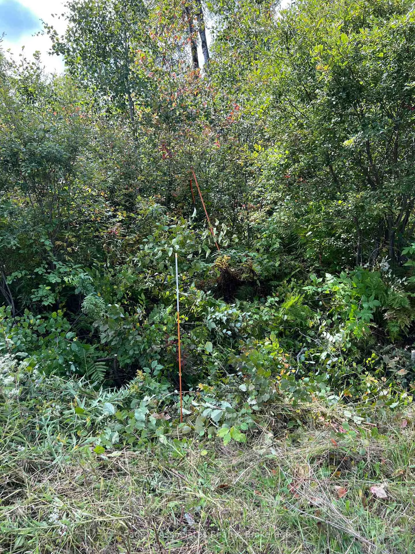 Photo 2 of Part 1 Highway 539A, West Nipissing, River Valley — HOMEH