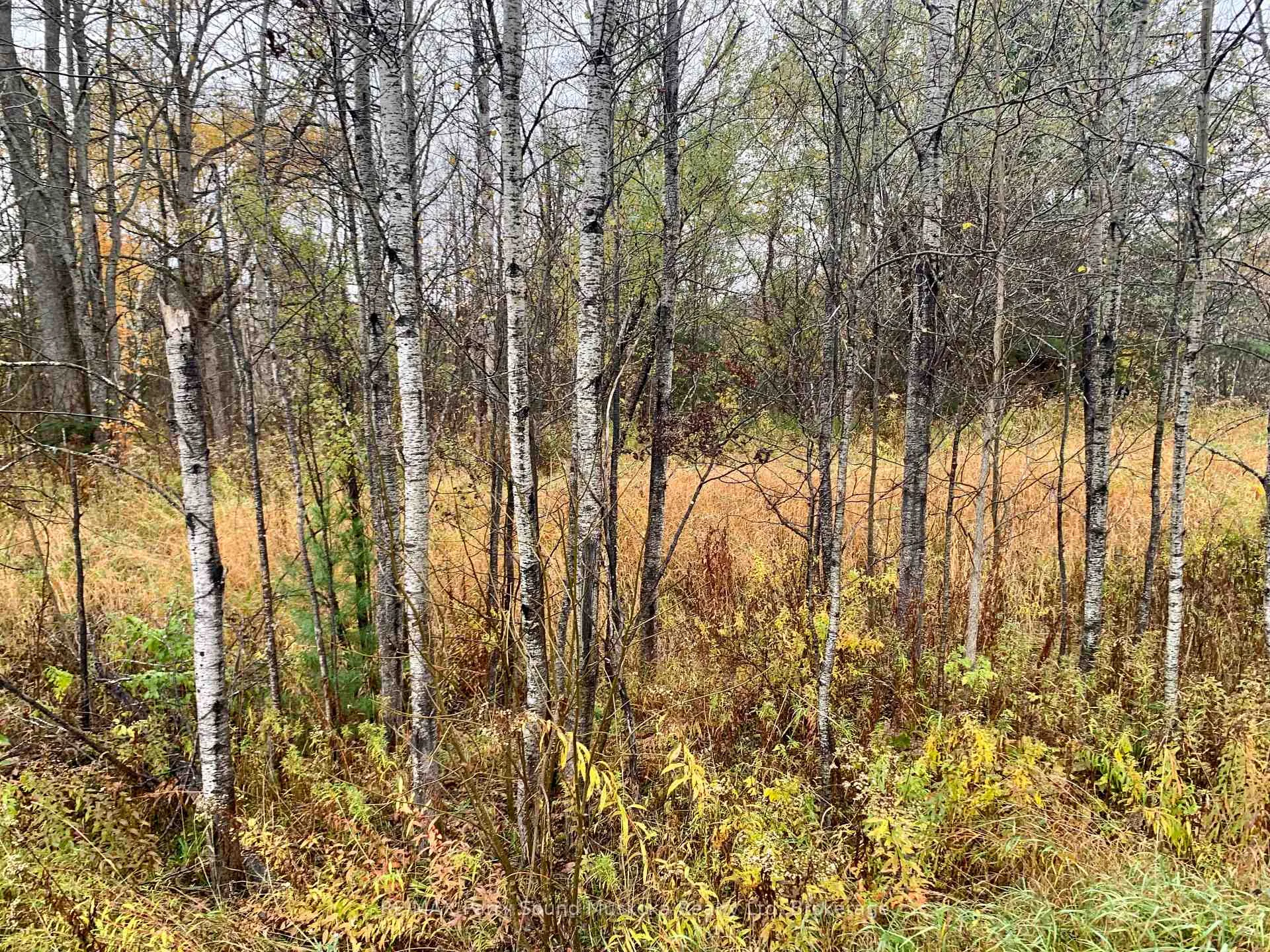 Photo 9 of LOT 2 Moore Drive, Whitestone, Hagerman — HOMEH
