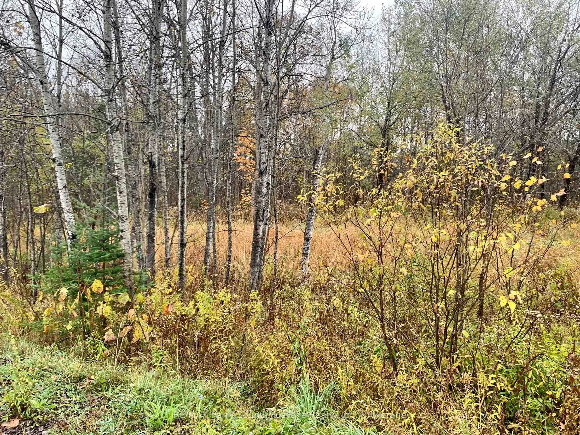 Photo 3 of LOT 1 Moore Drive, Whitestone, Hagerman — HOMEH