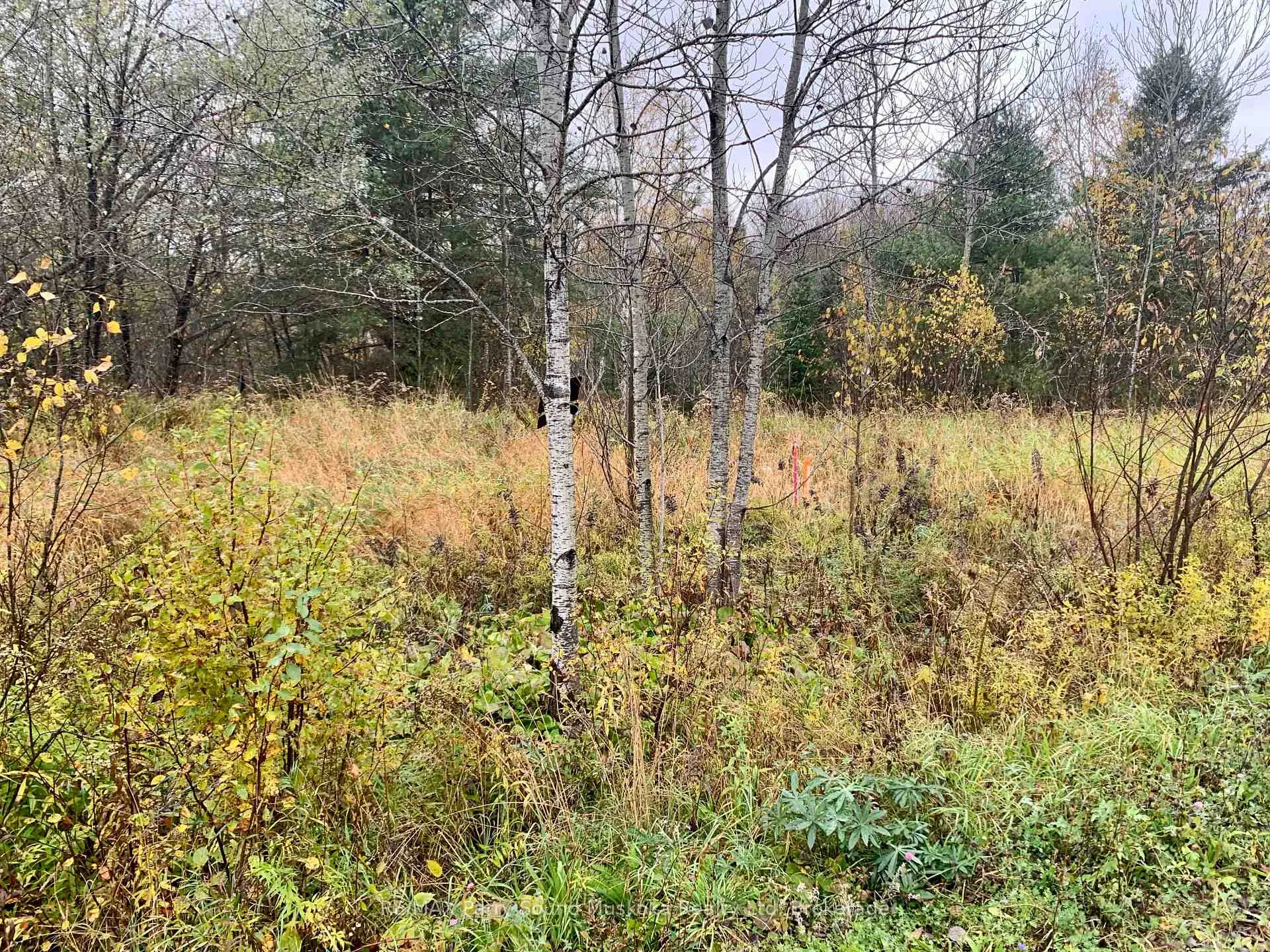 Photo 4 of LOT 1 Moore Drive, Whitestone, Hagerman — HOMEH