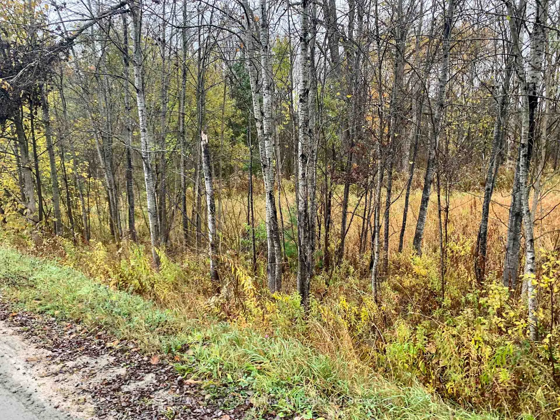 Photo 6 of LOT 1 Moore Drive, Whitestone, Hagerman — HOMEH