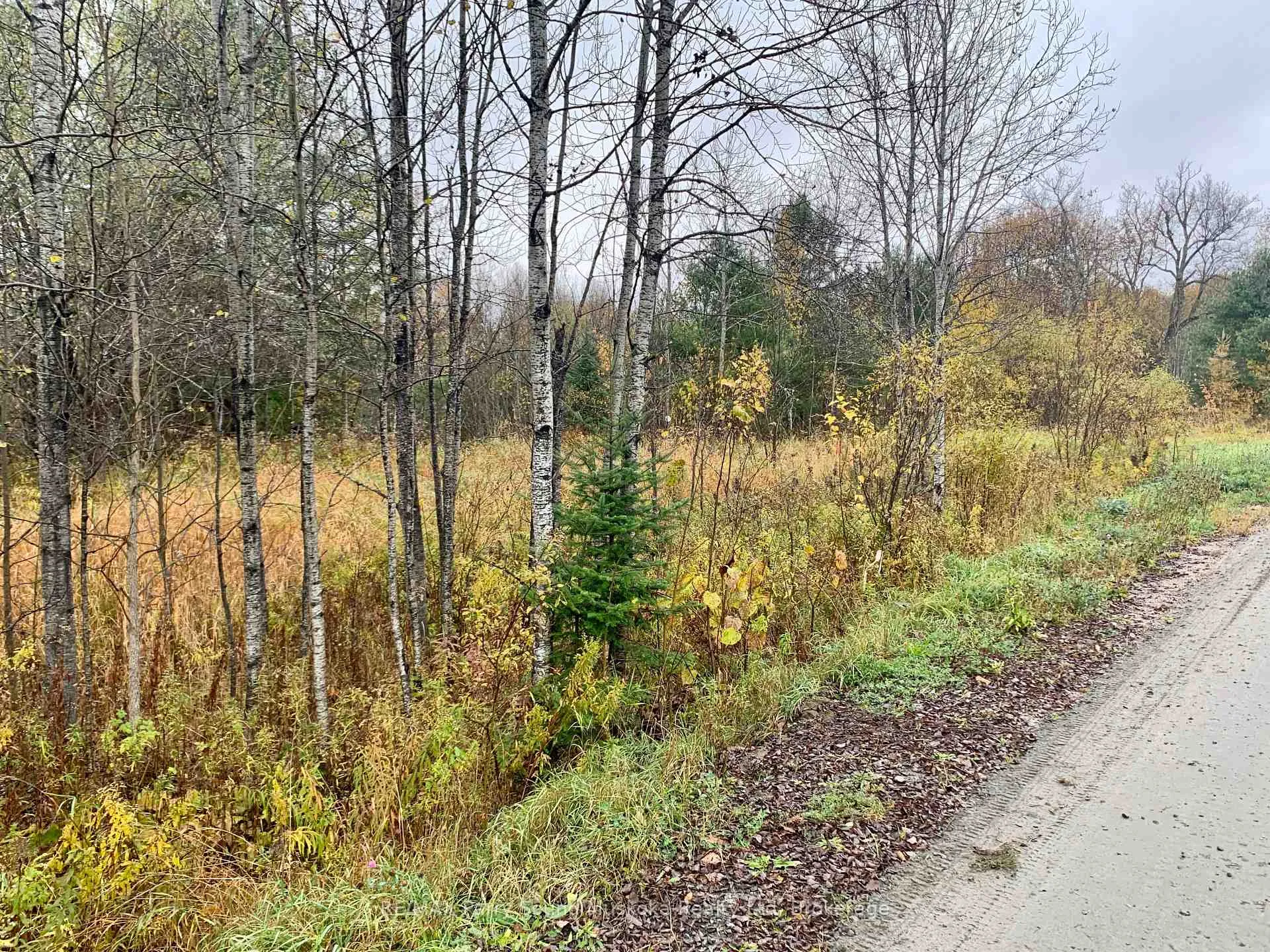 Photo 7 of LOT 1 Moore Drive, Whitestone, Hagerman — HOMEH