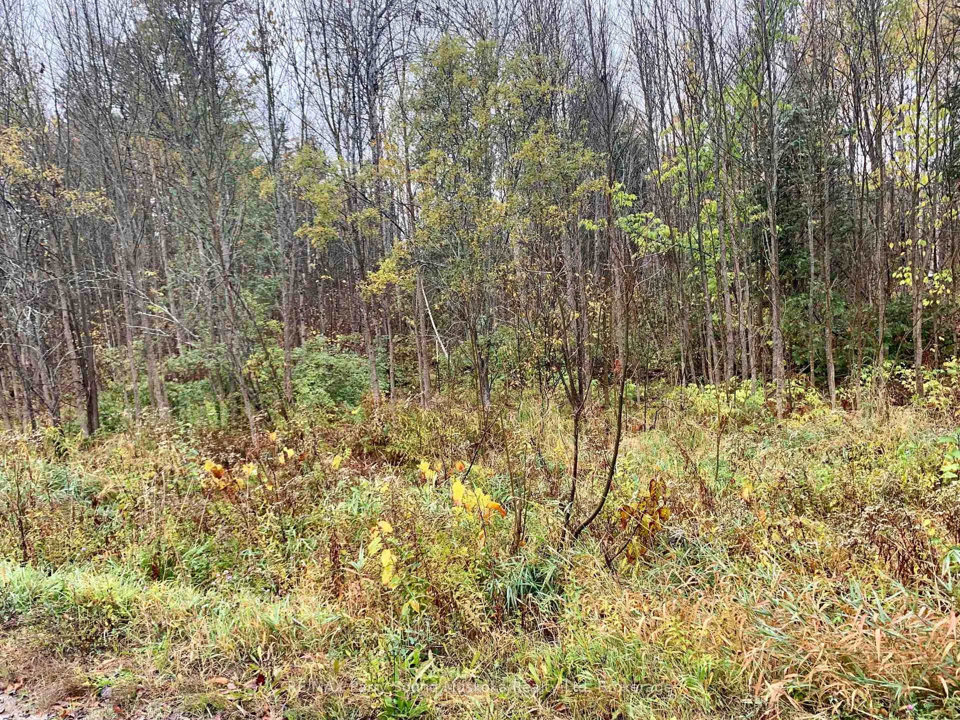 Photo 9 of LOT 1 Moore Drive, Whitestone, Hagerman — HOMEH