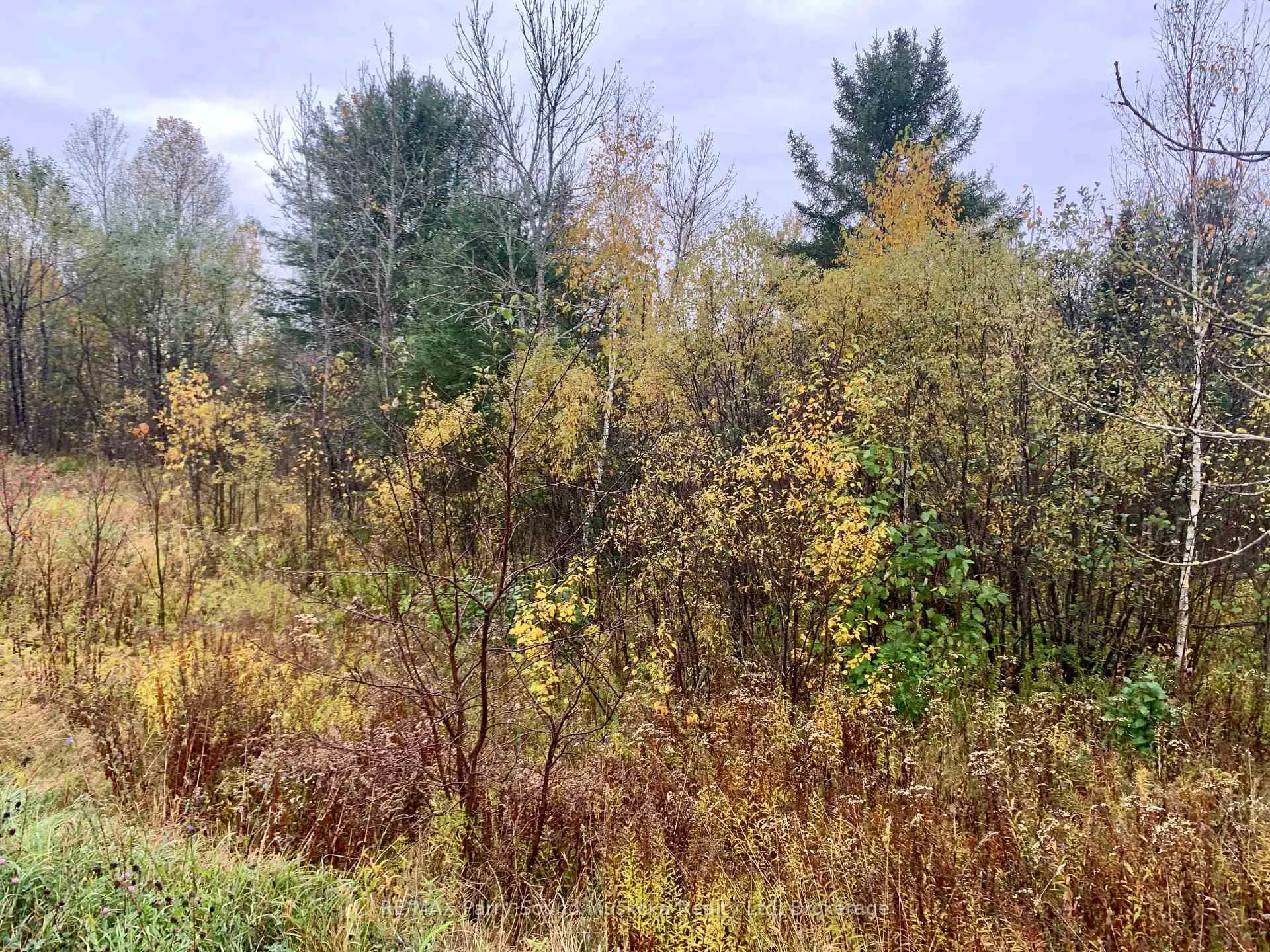 Photo 13 of LOT 1 Moore Drive, Whitestone, Hagerman — HOMEH