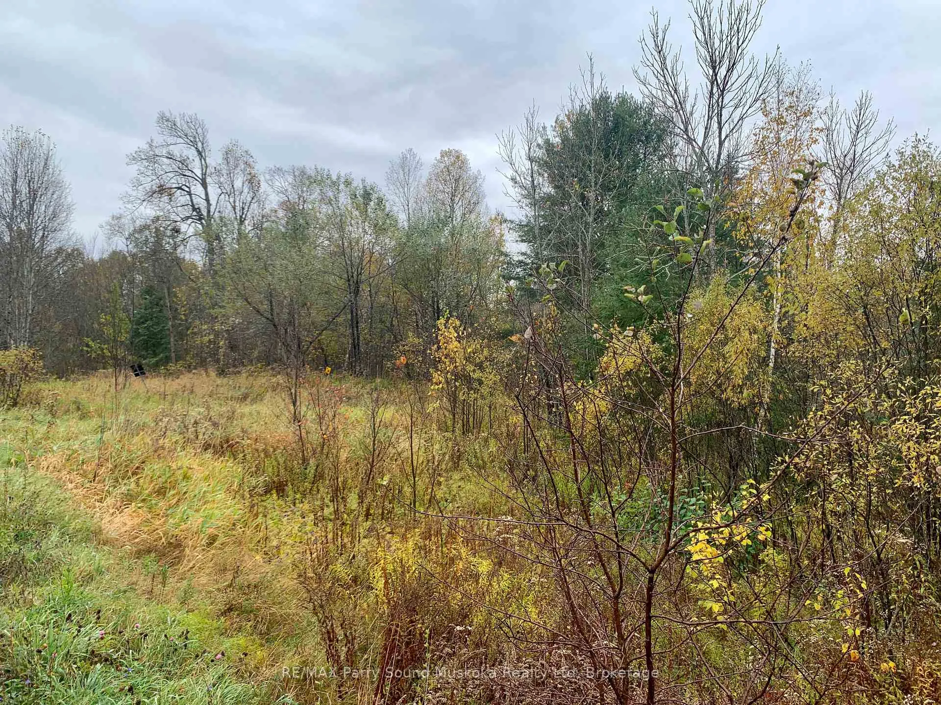Photo 14 of LOT 1 Moore Drive, Whitestone, Hagerman — HOMEH