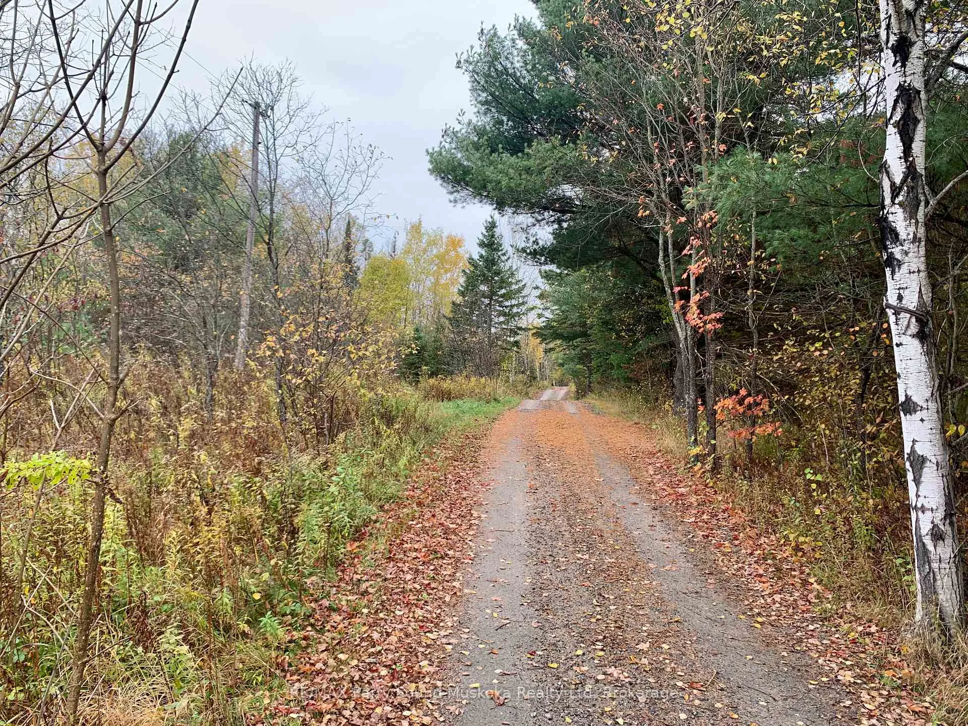 Photo 5 of LOT 1 Highway 124, Whitestone, Hagerman — HOMEH