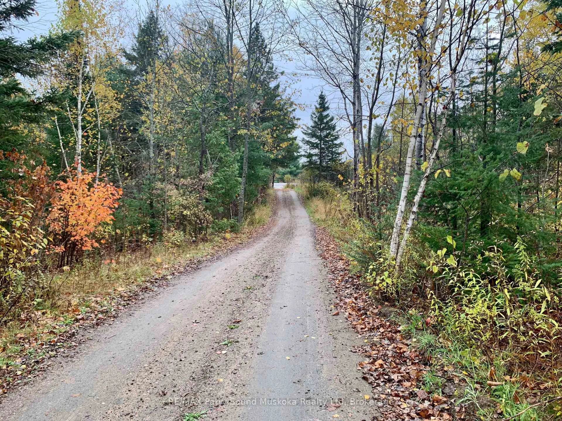 Photo 6 of LOT 1 Highway 124, Whitestone, Hagerman — HOMEH