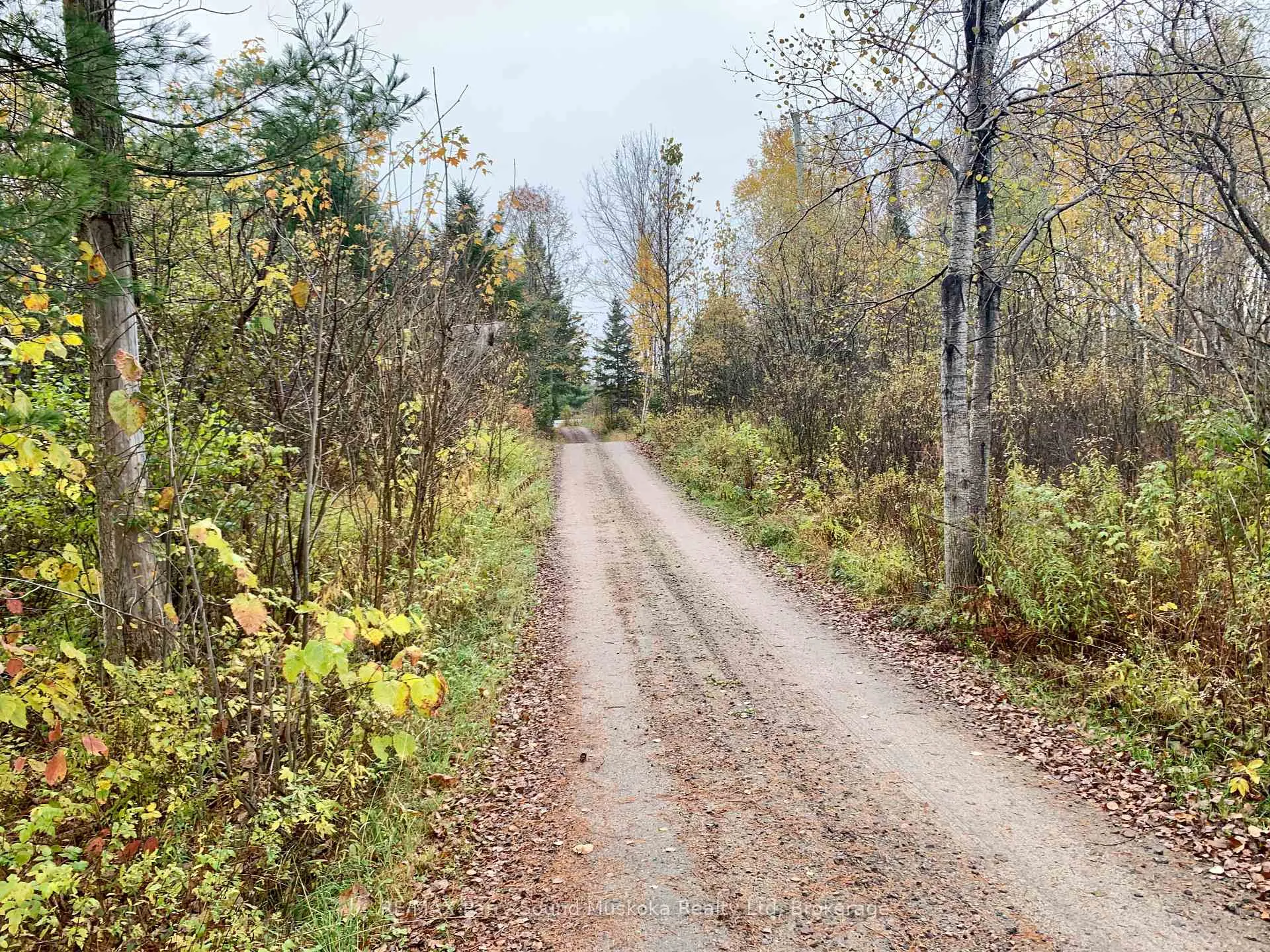 Photo 5 of LOT 1 Unnamed Road, Whitestone, Hagerman — HOMEH