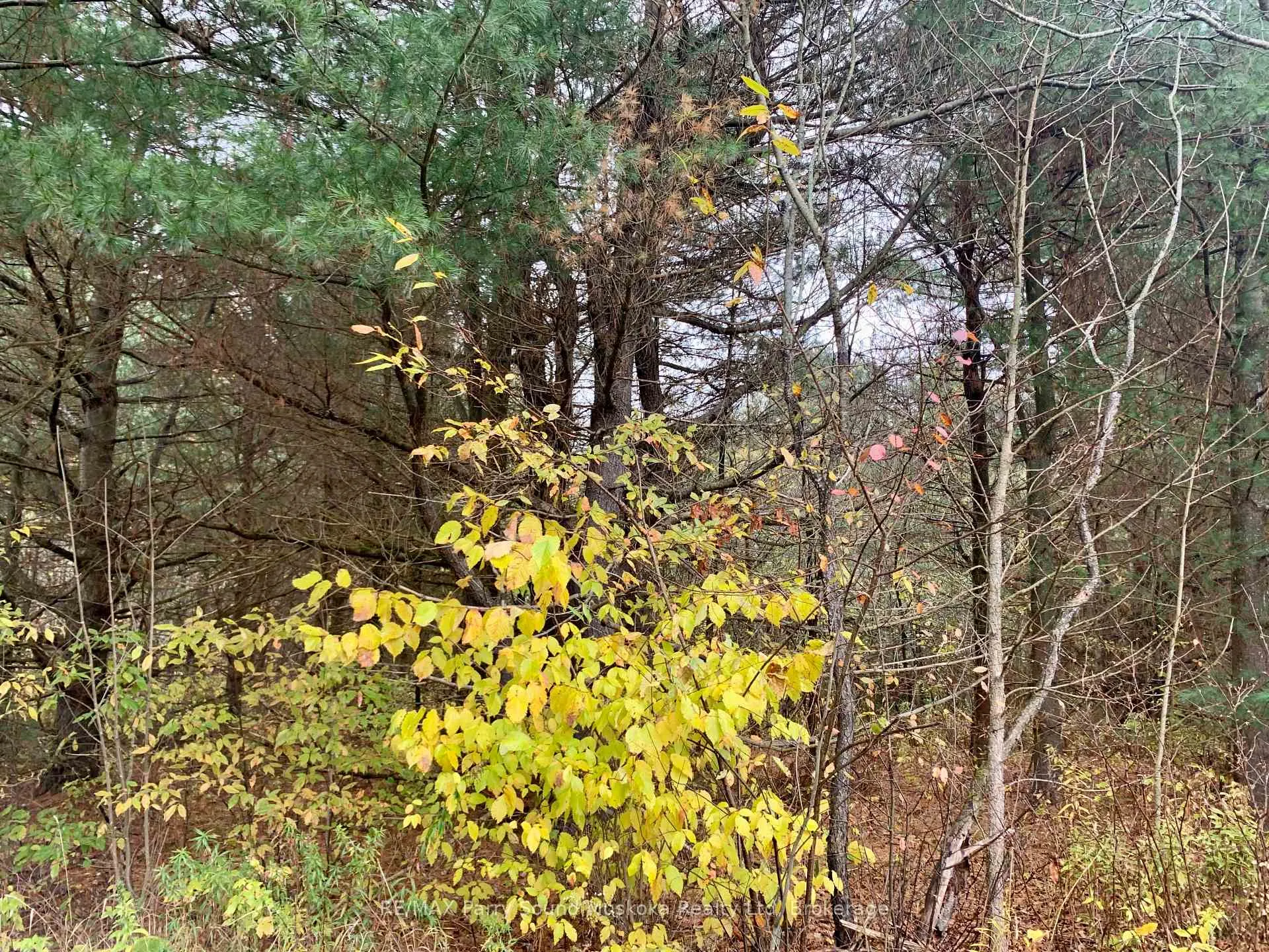 Photo 9 of LOT 1 Unnamed Road, Whitestone, Hagerman — HOMEH