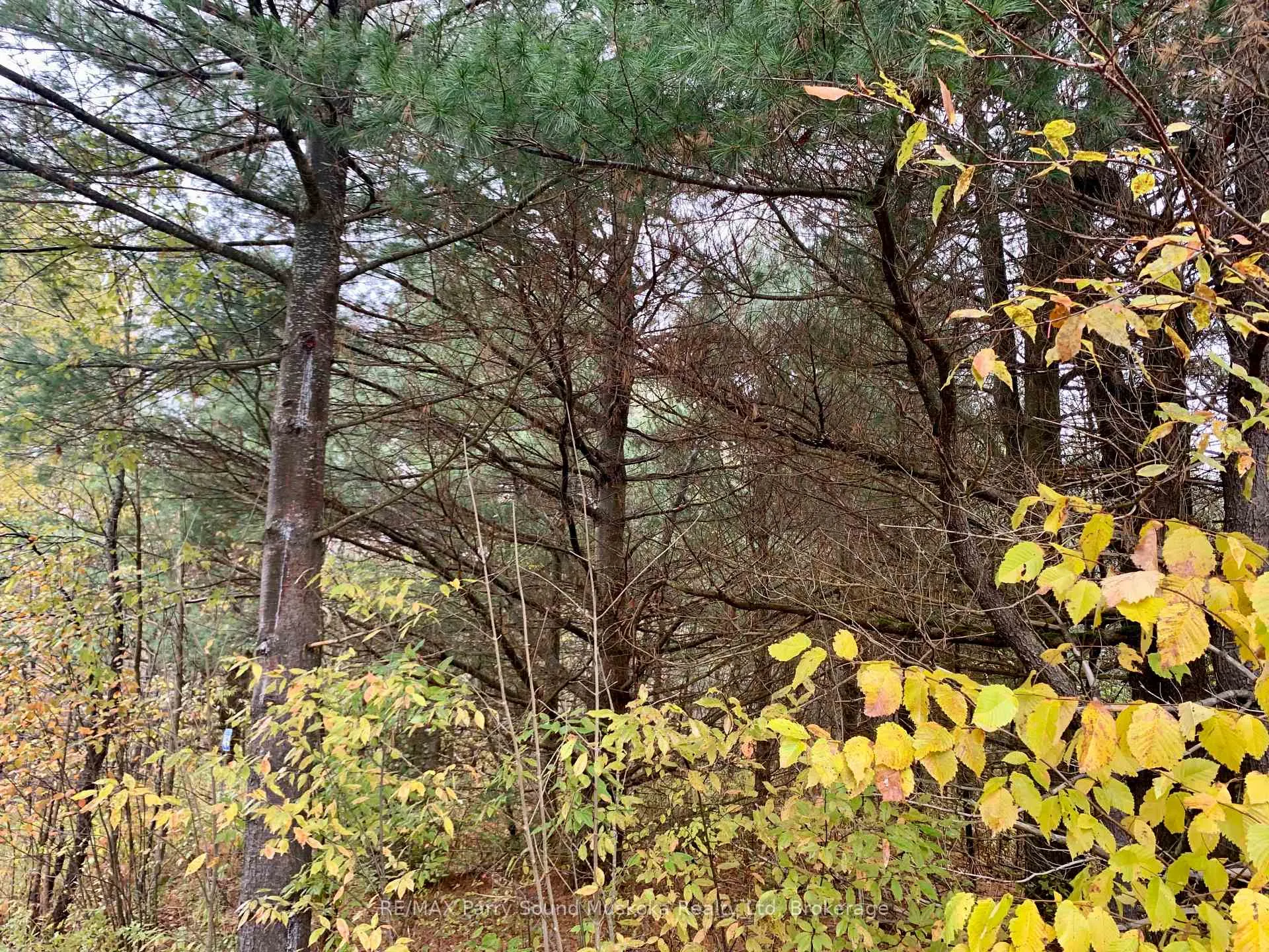 Photo 10 of LOT 1 Unnamed Road, Whitestone, Hagerman — HOMEH