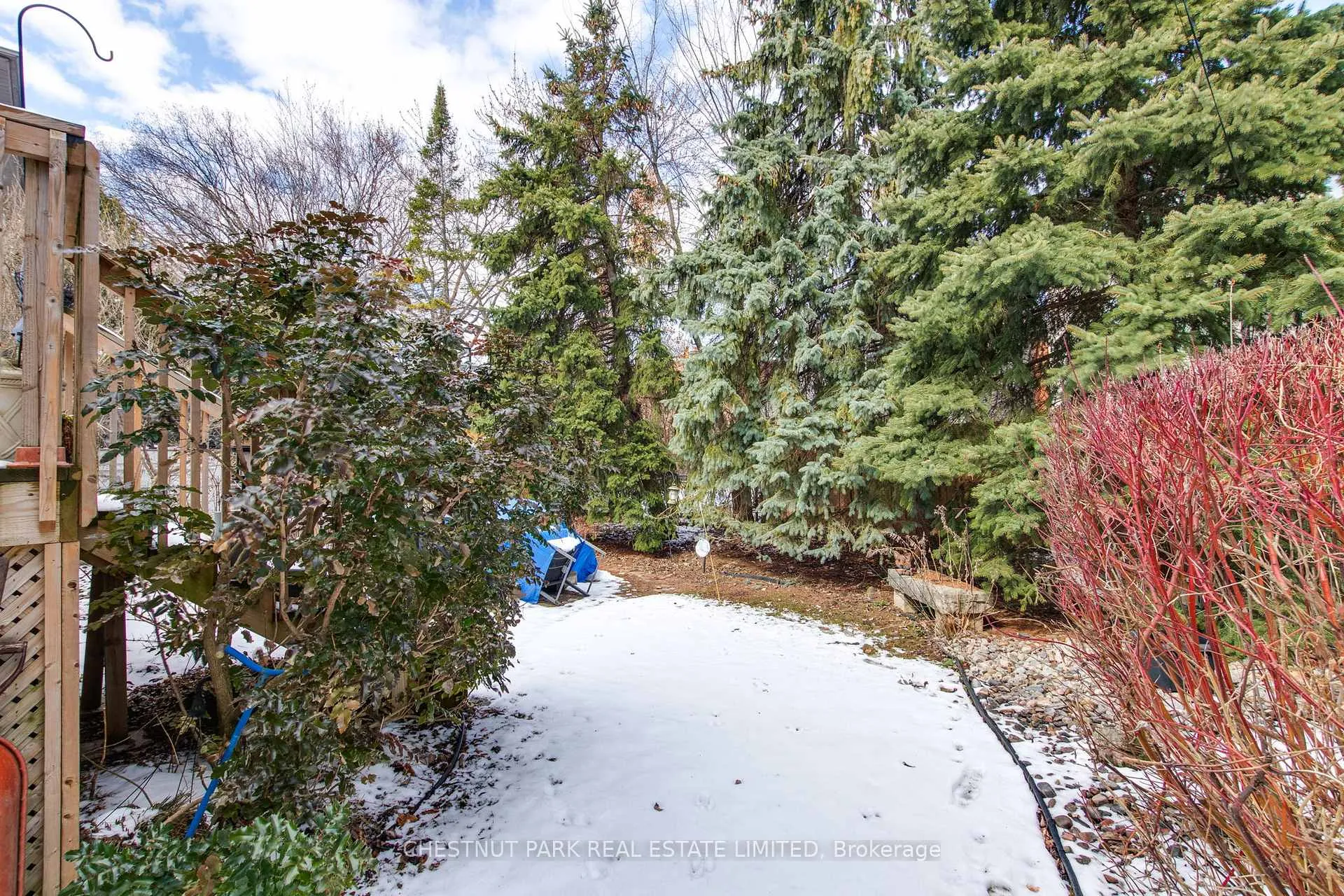 Photo 49 of 552 Melrose Avenue, Toronto, Bedford Park-Nortown — HOMEH