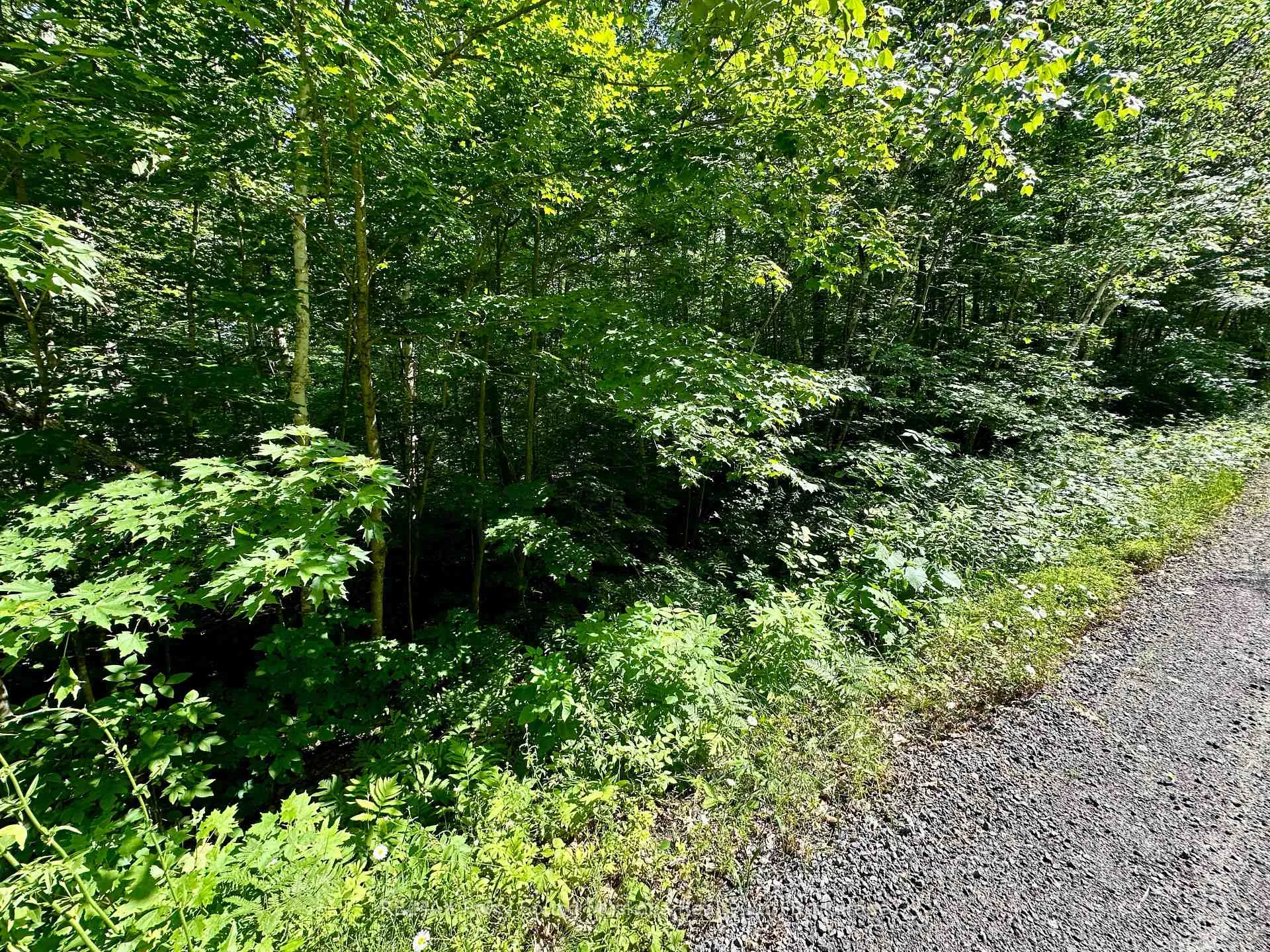 Photo 11 of Frontenac Drive, McKellar — HOMEH