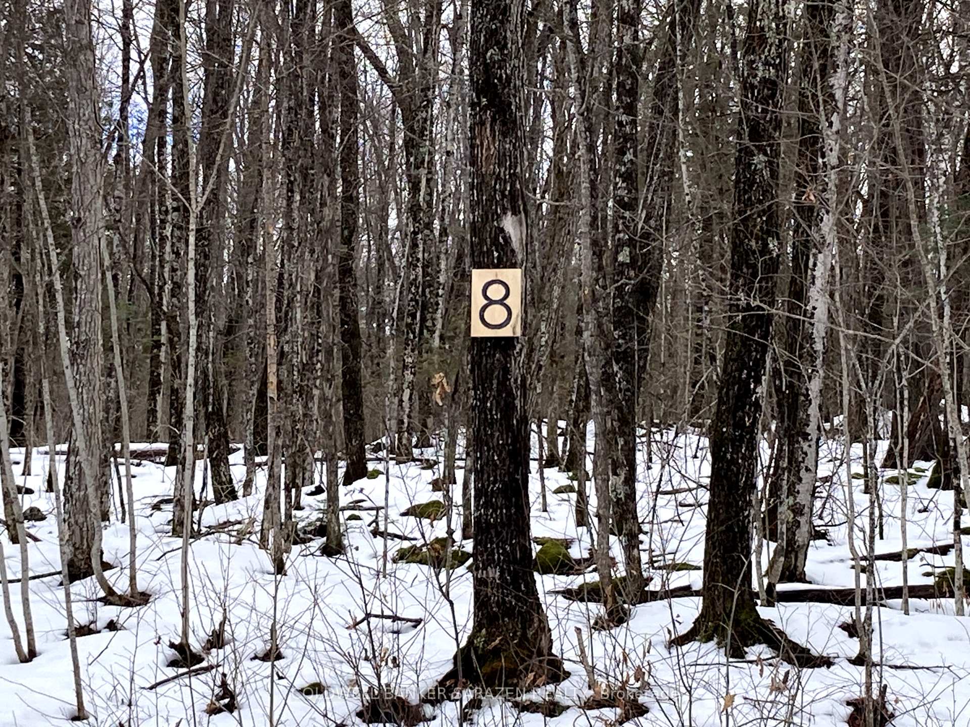 Photo 1 of Lot 8 Deerfield Drive, McNab/Braeside, Mcnab/Braeside Twps — HOMEH
