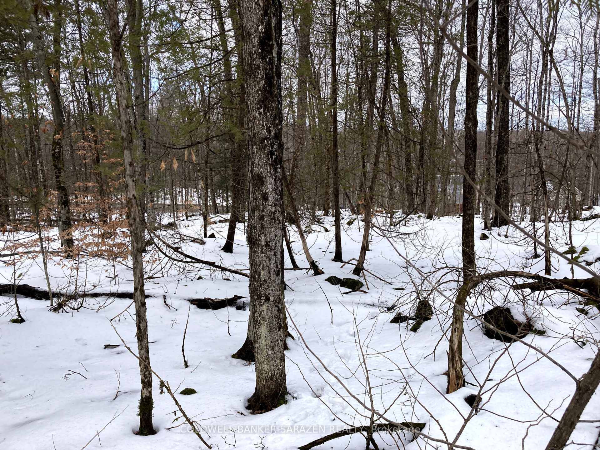 Photo 5 of Lot 8 Deerfield Drive, McNab/Braeside, Mcnab/Braeside Twps — HOMEH