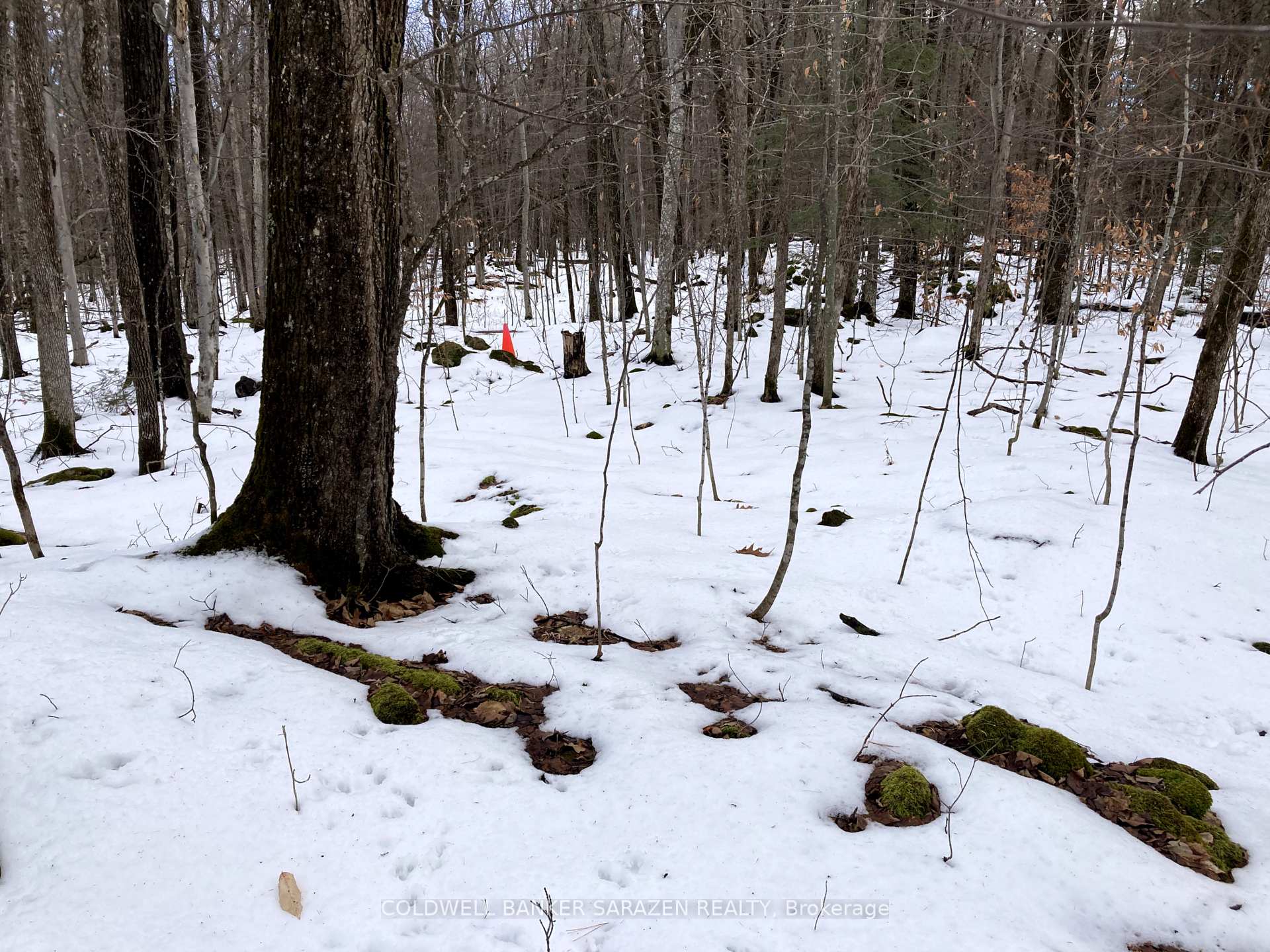 Photo 6 of Lot 8 Deerfield Drive, McNab/Braeside, Mcnab/Braeside Twps — HOMEH